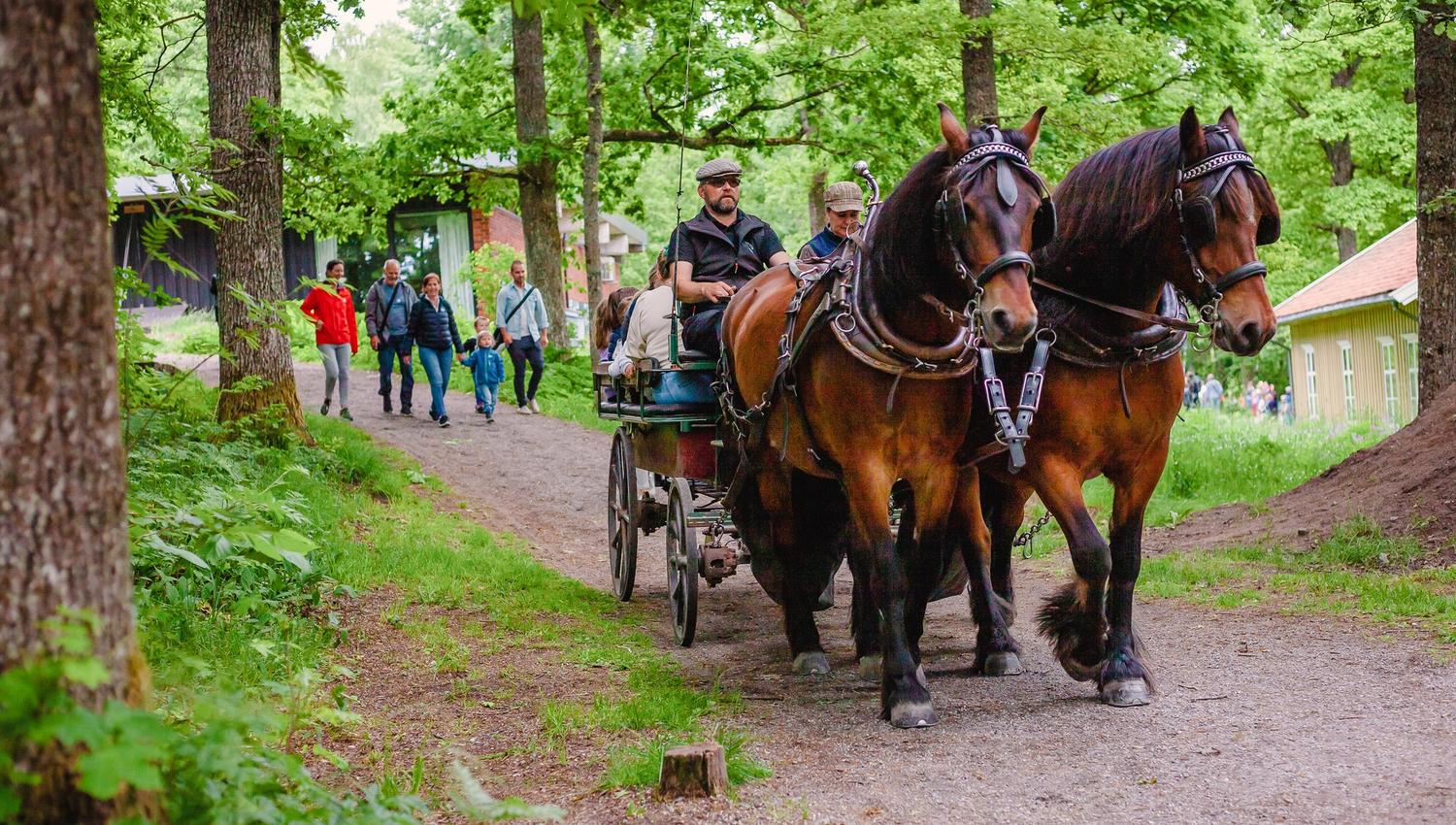 Hest og kjerre på Follo museum.