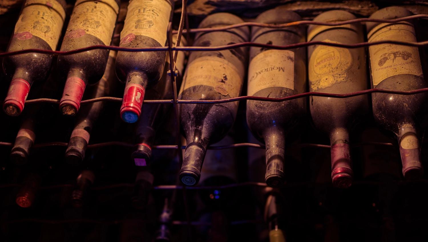 Sygaard Grytting - wine cellar