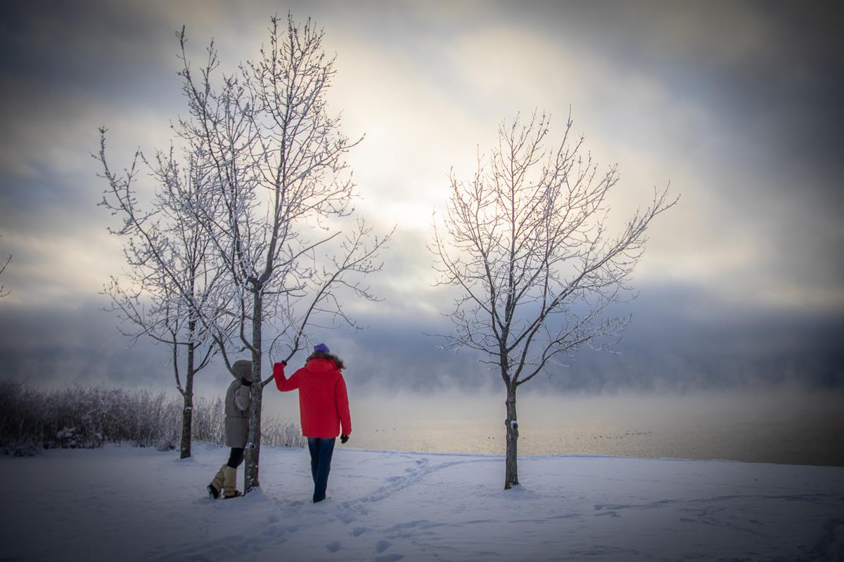 En person står i snøen ved to trær med utsikt mot vann og disige skyer.