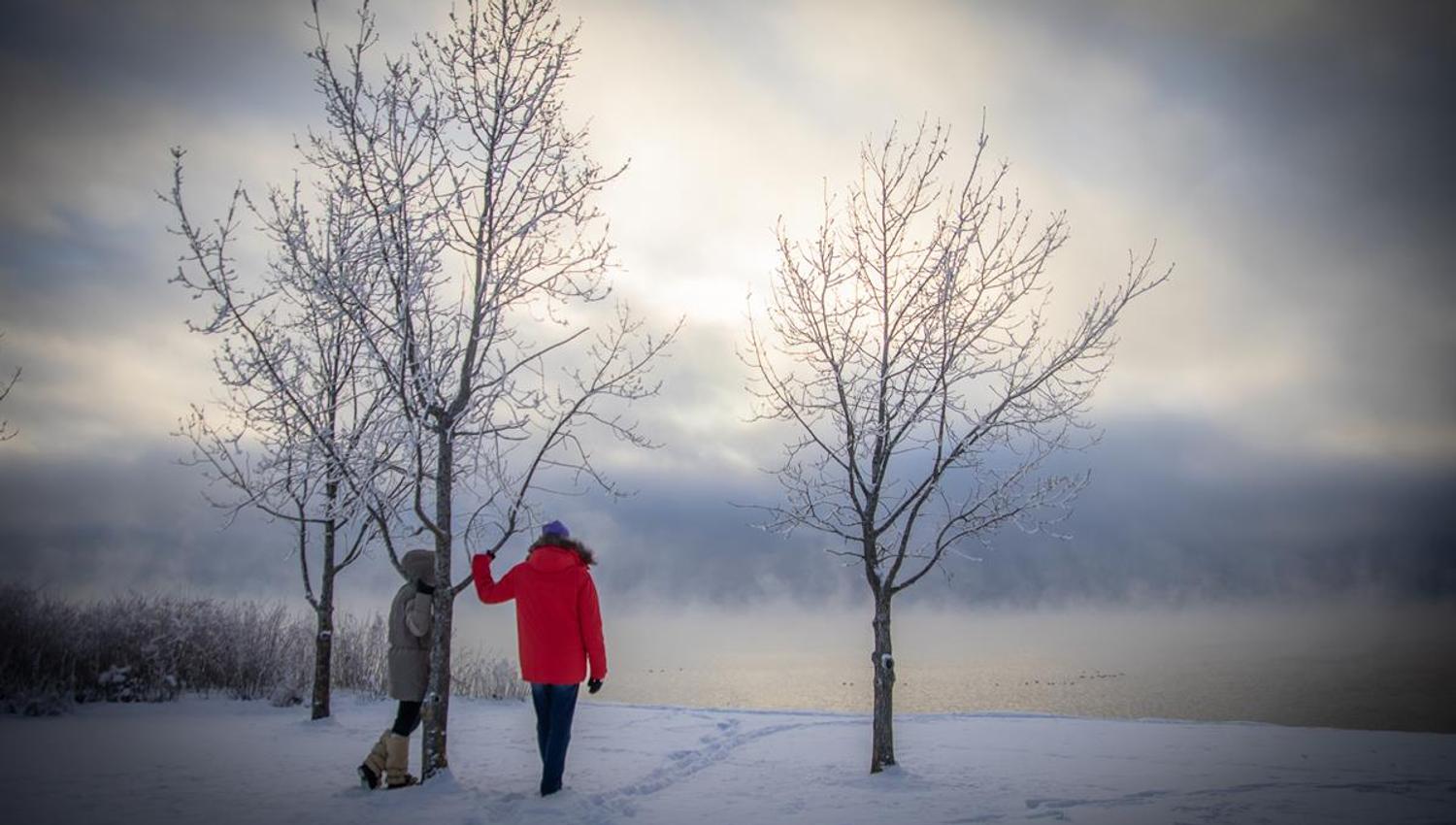En person står i snøen ved to trær med utsikt mot vann og disige skyer.