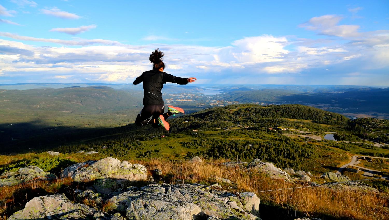 Naturbilde sommer på Lifjell