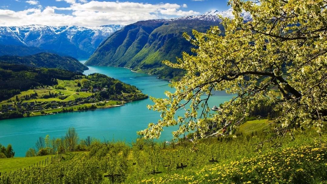 A view of the Hardangerfjord