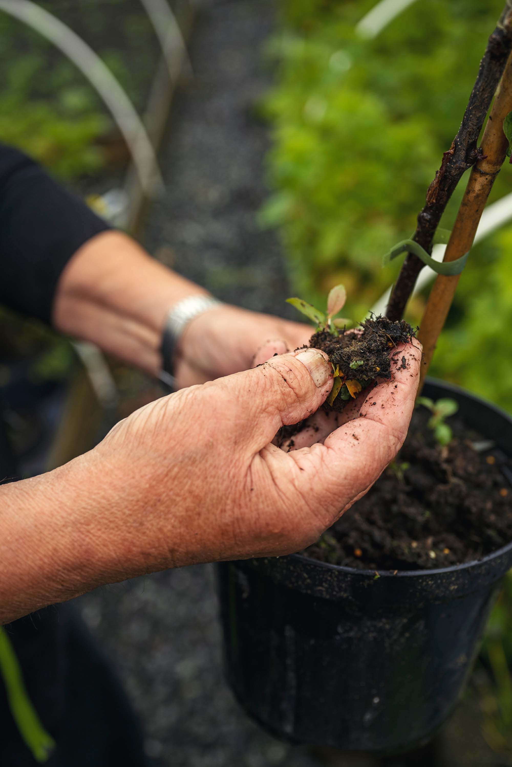 Einar sjekker ut jordvaliteten