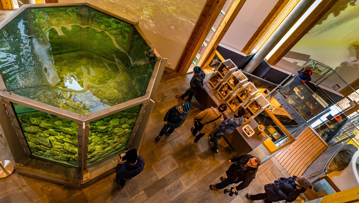 One of the fish tanks and some people surrounding it, seen from above.