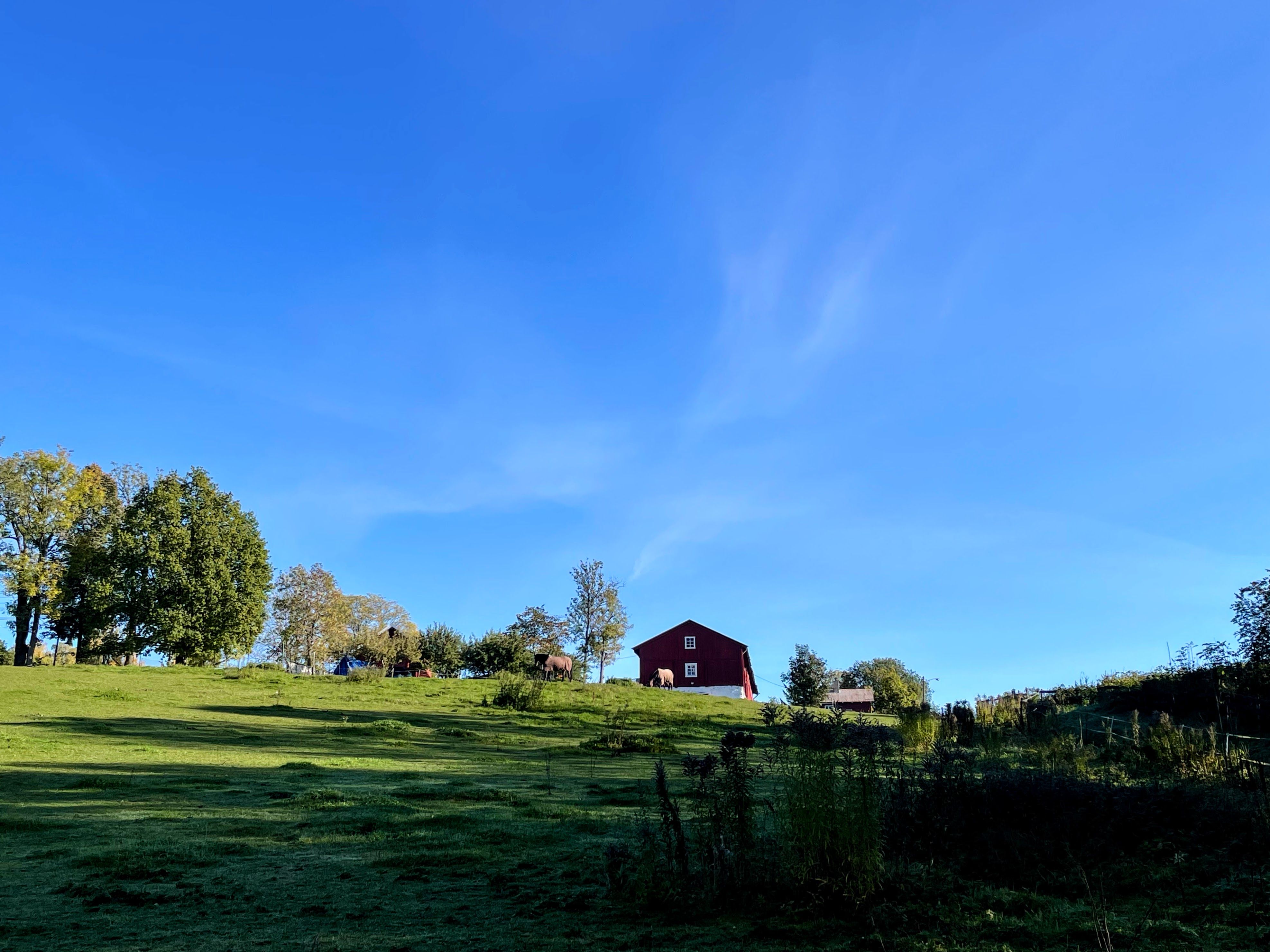 Løkenes gård, rød låve