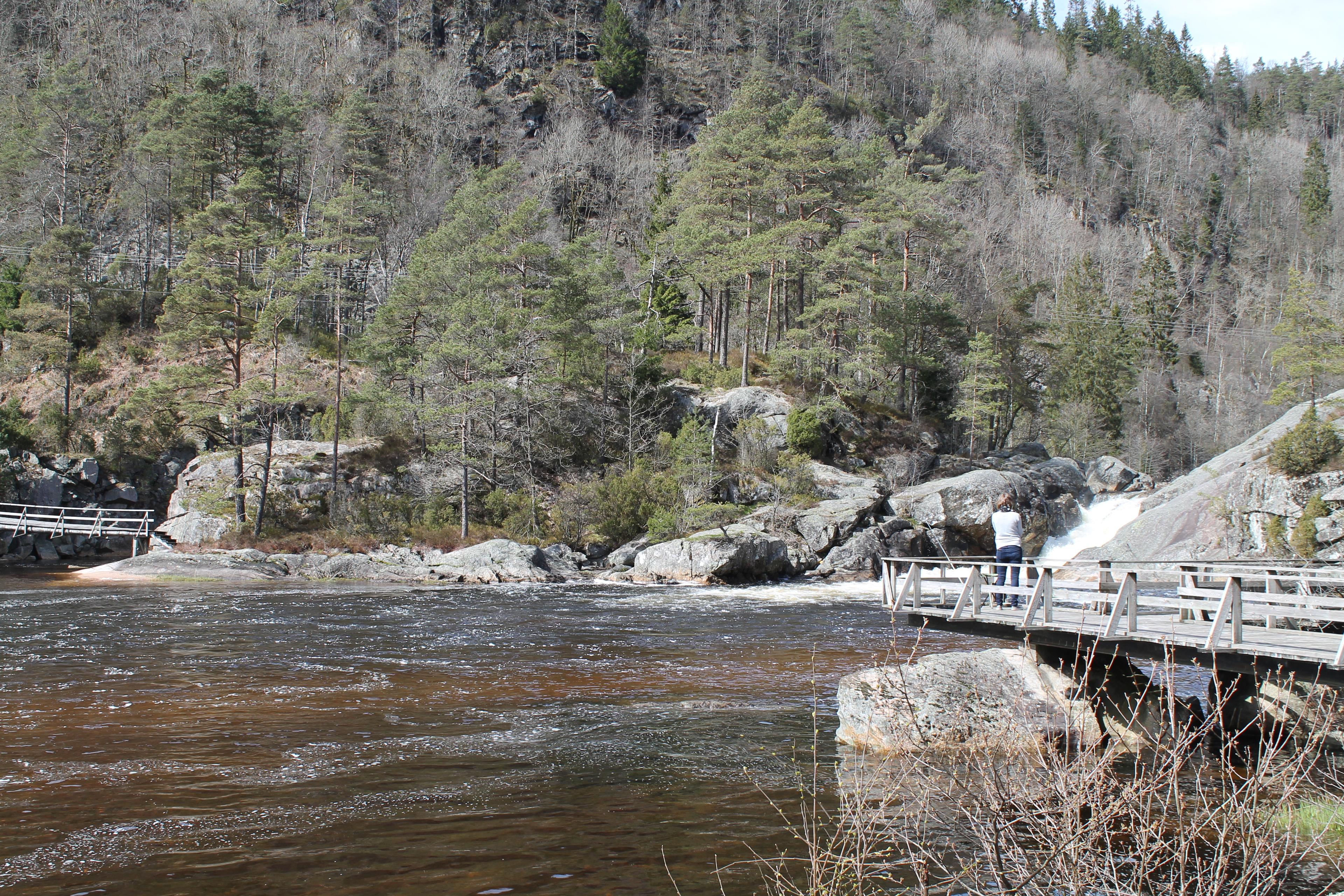 Gislefoss - fiskeplass