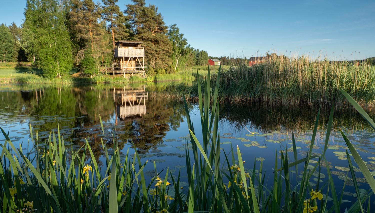 bird watching tower by a lake