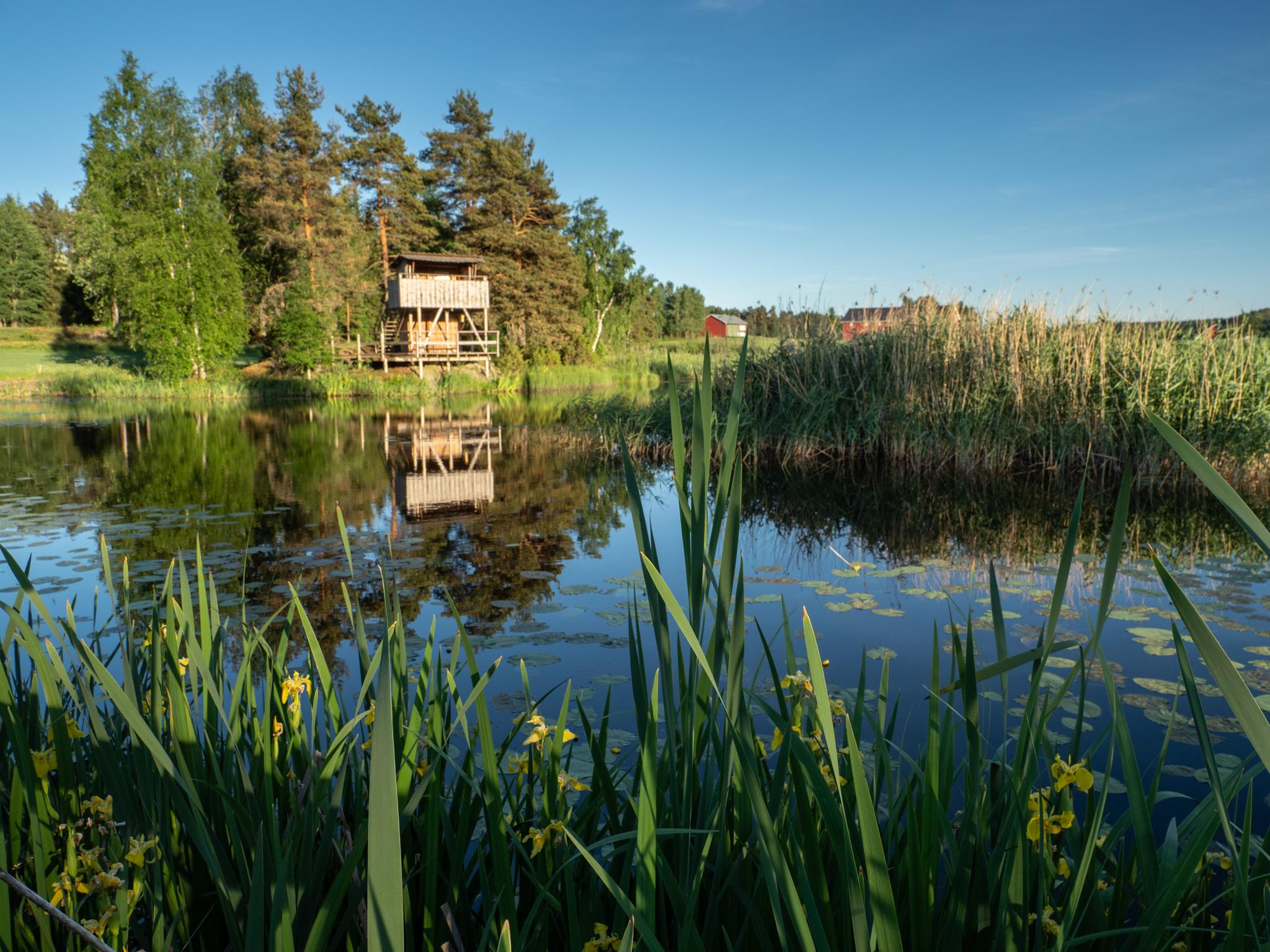 Gjølsjøen Fugletårn