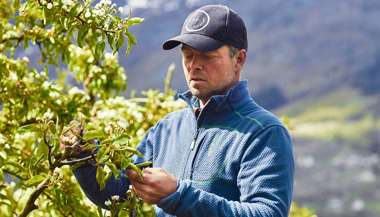 Bonde i arbeid blant frukttrea på Helleland Gard.