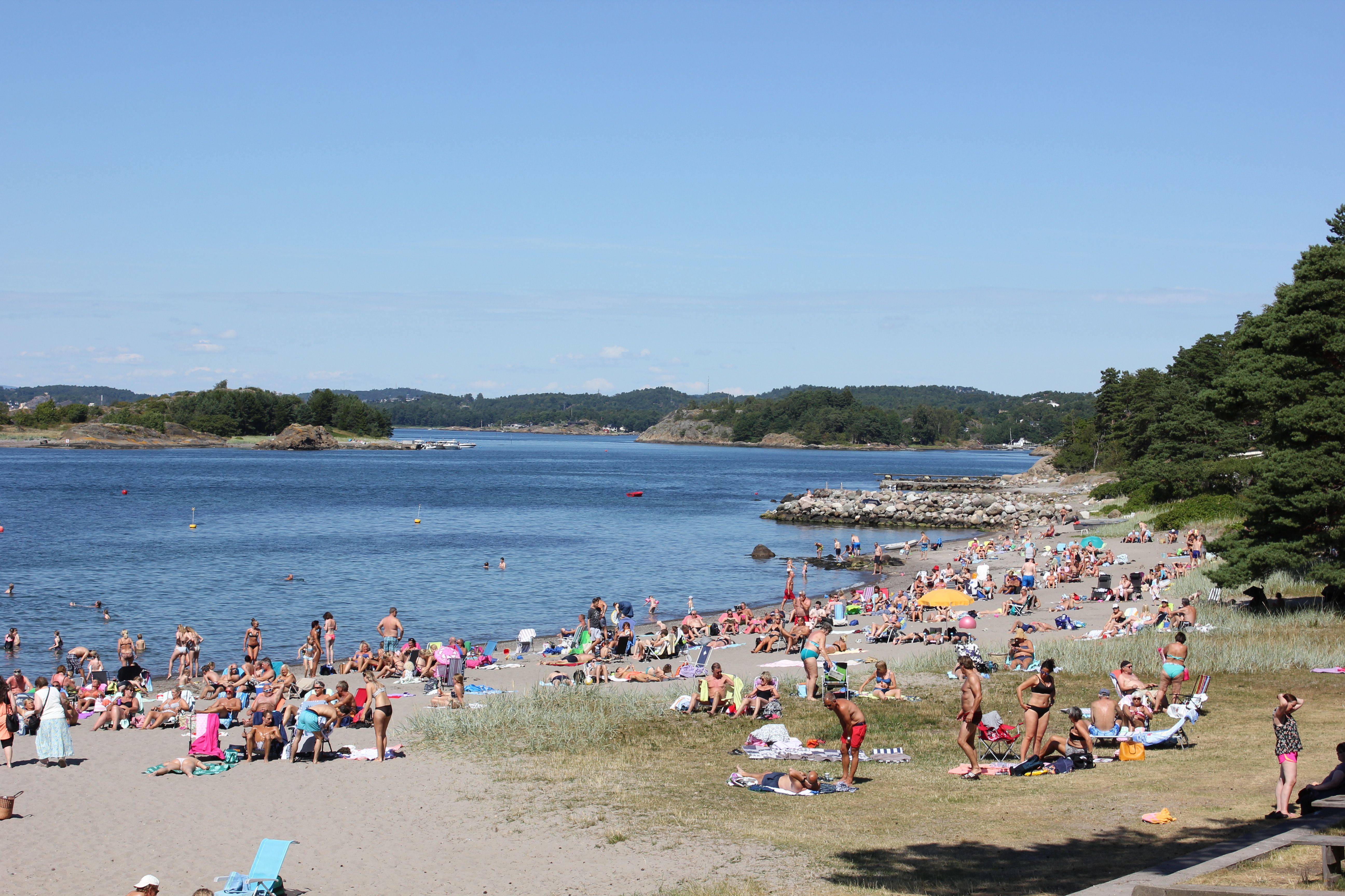 Beach with many people