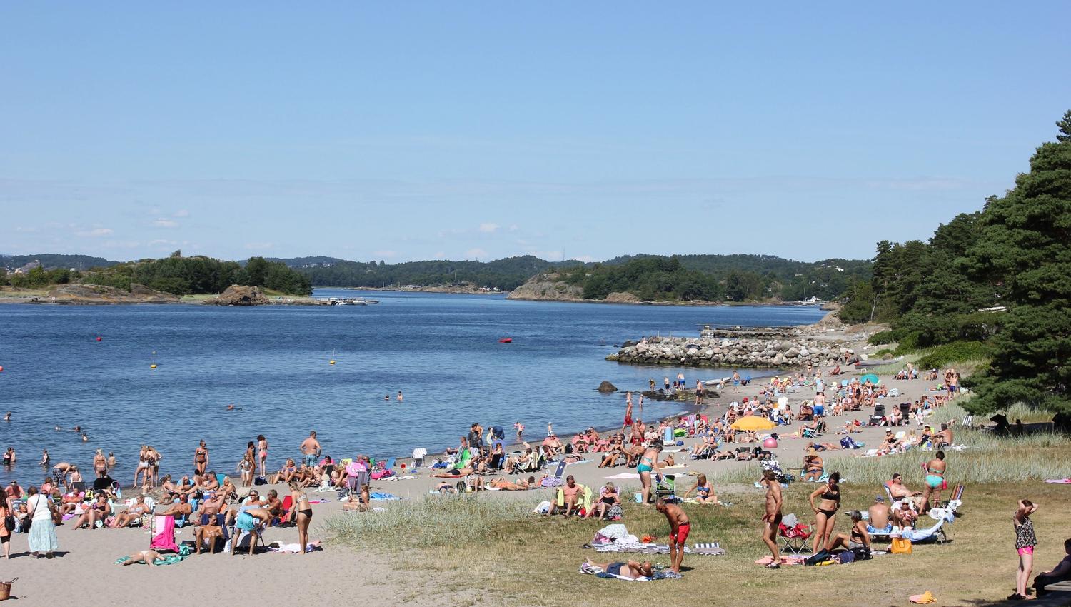 Beach with many people