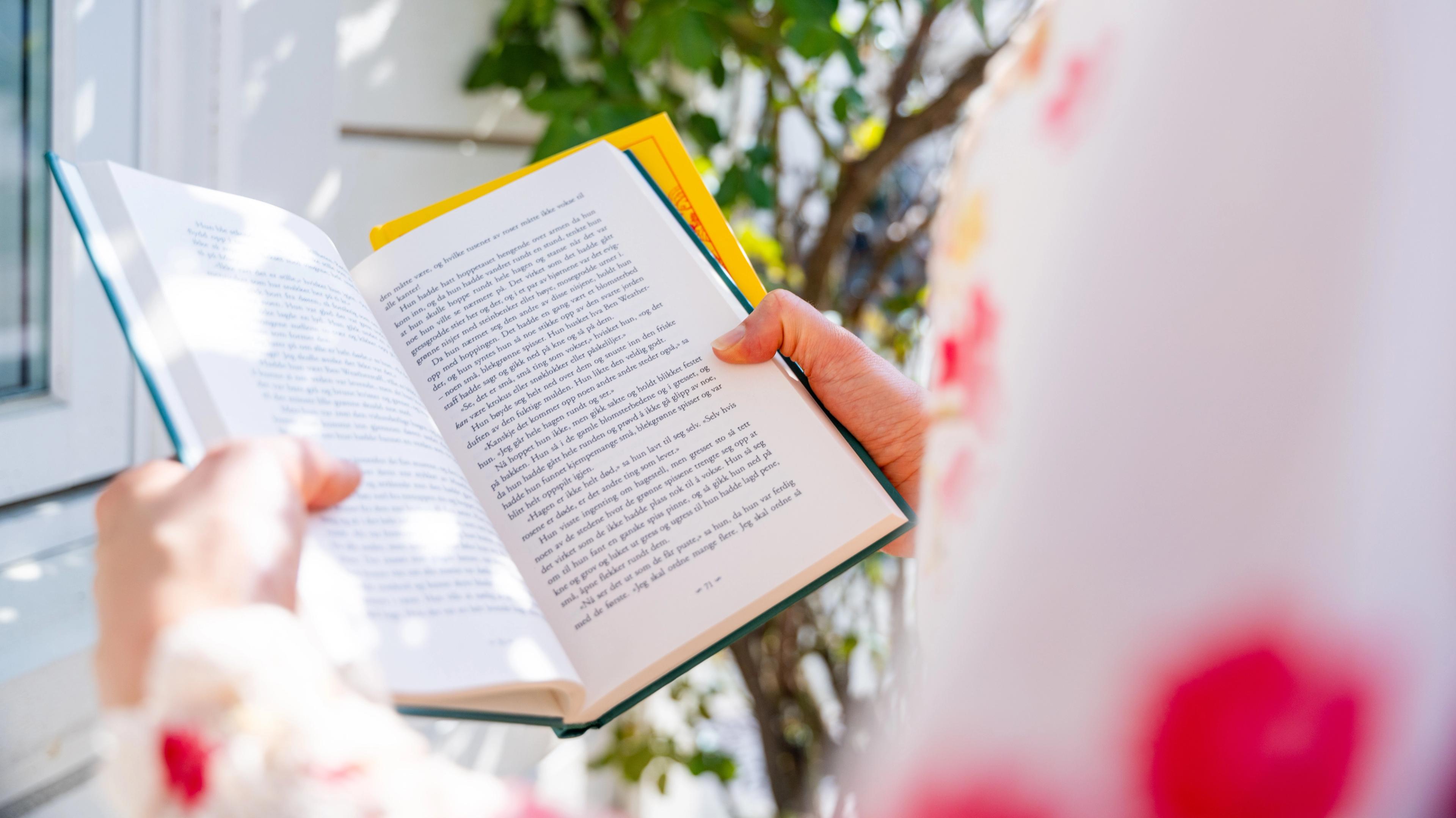 Reading a book in Tvedestrand