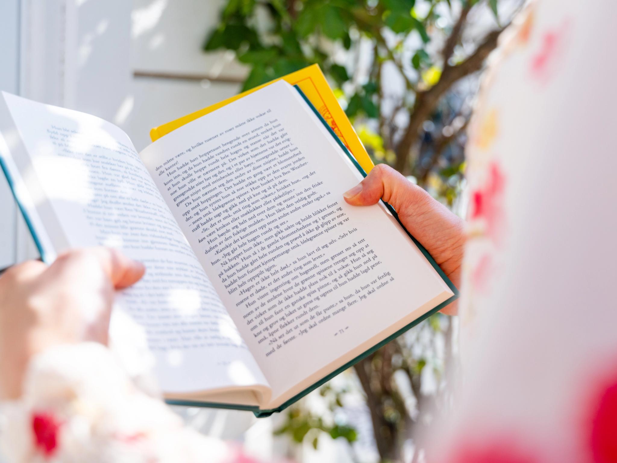 Reading a book in Tvedestrand