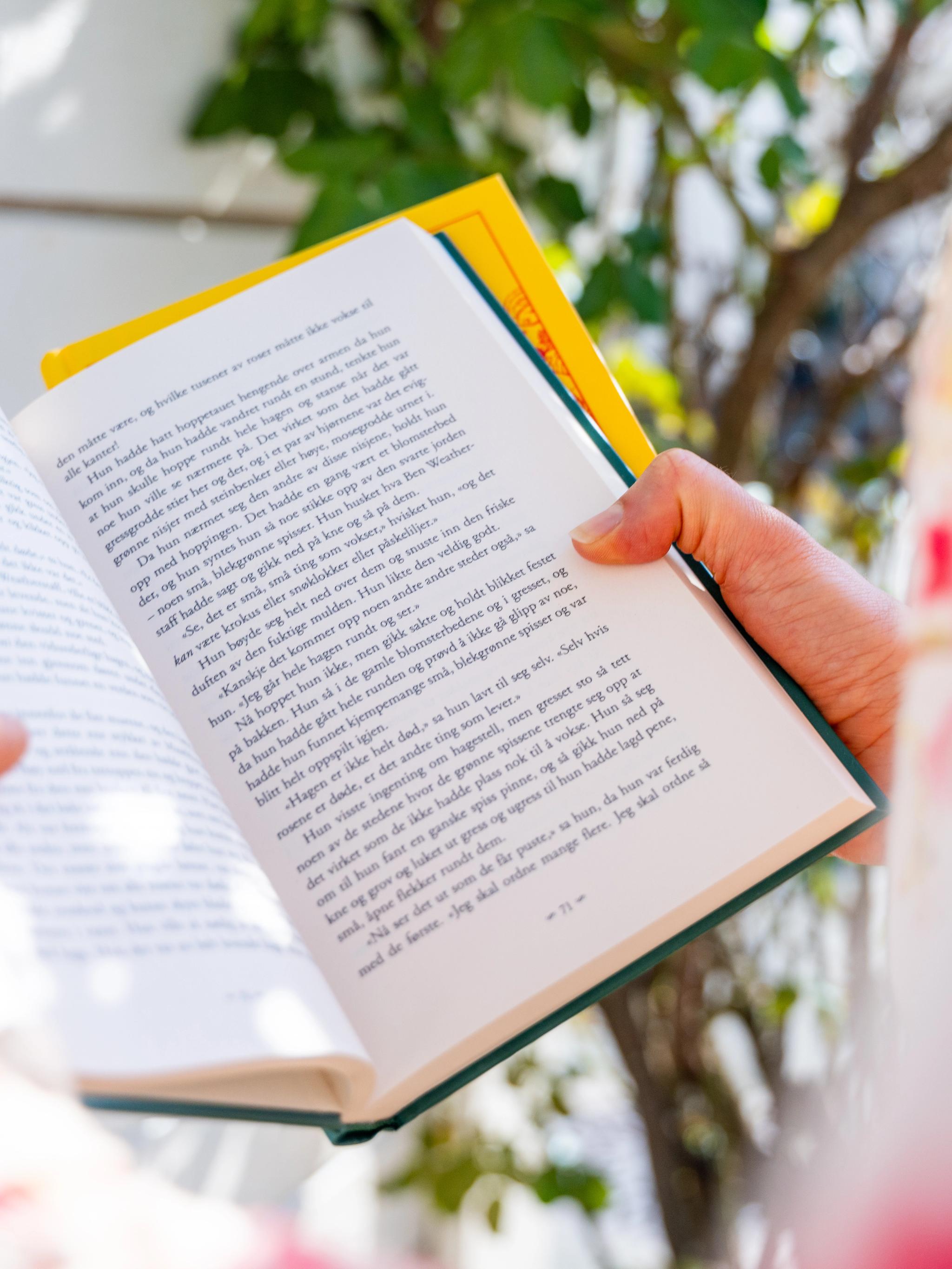 Reading a book in Tvedestrand