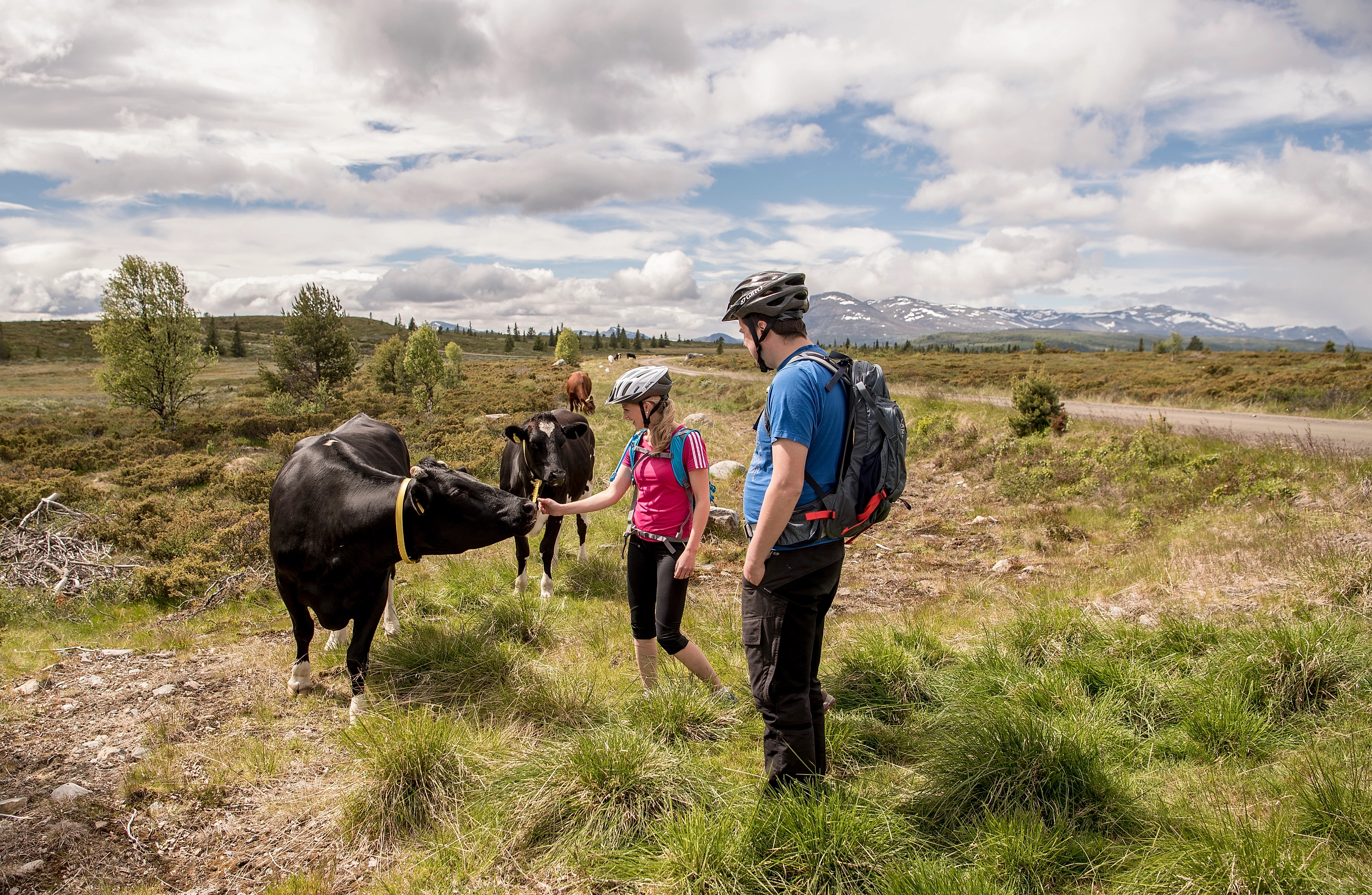 Mjølkevegen, Valdres
