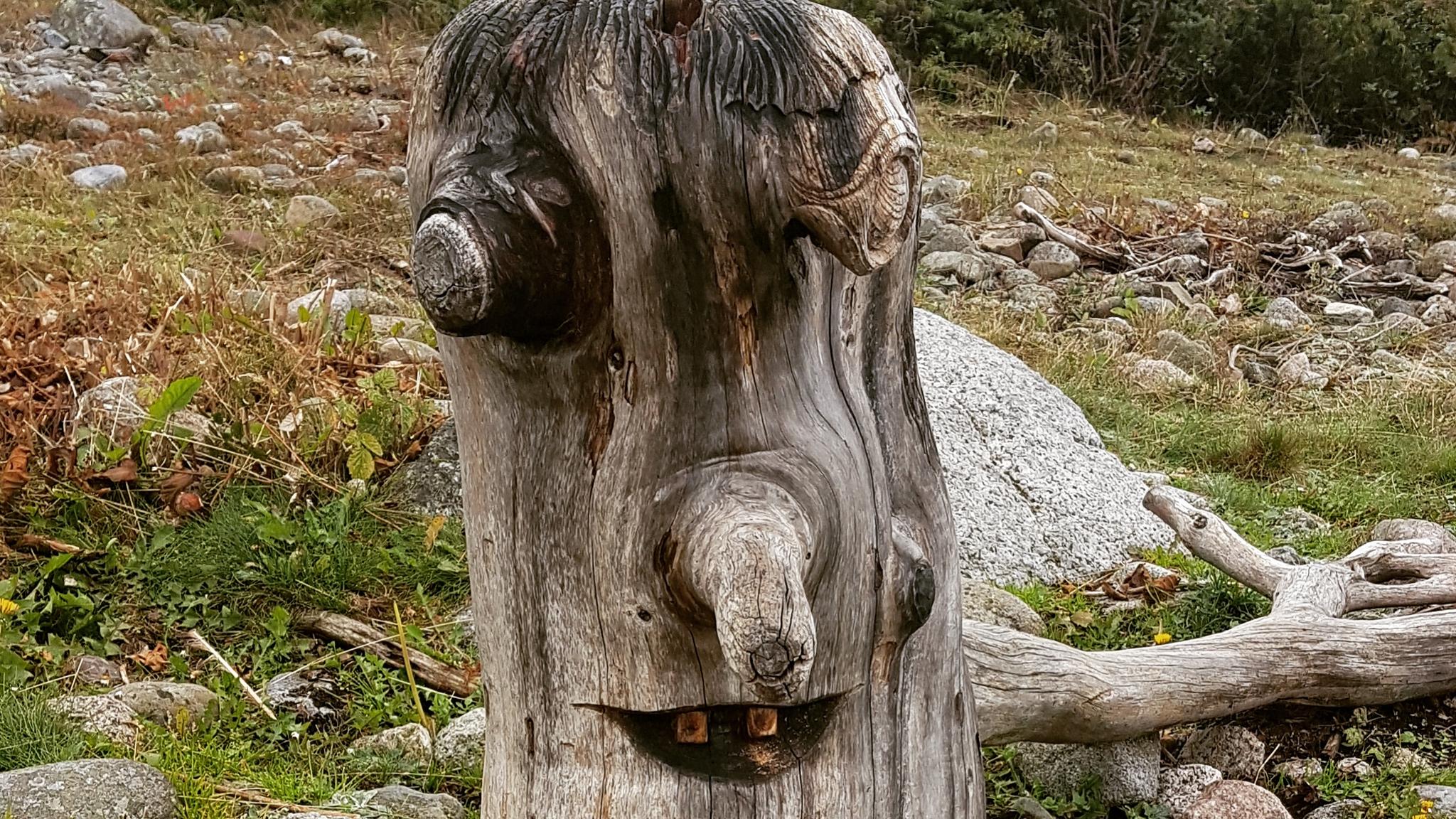 A tree stump that looks like a troll
