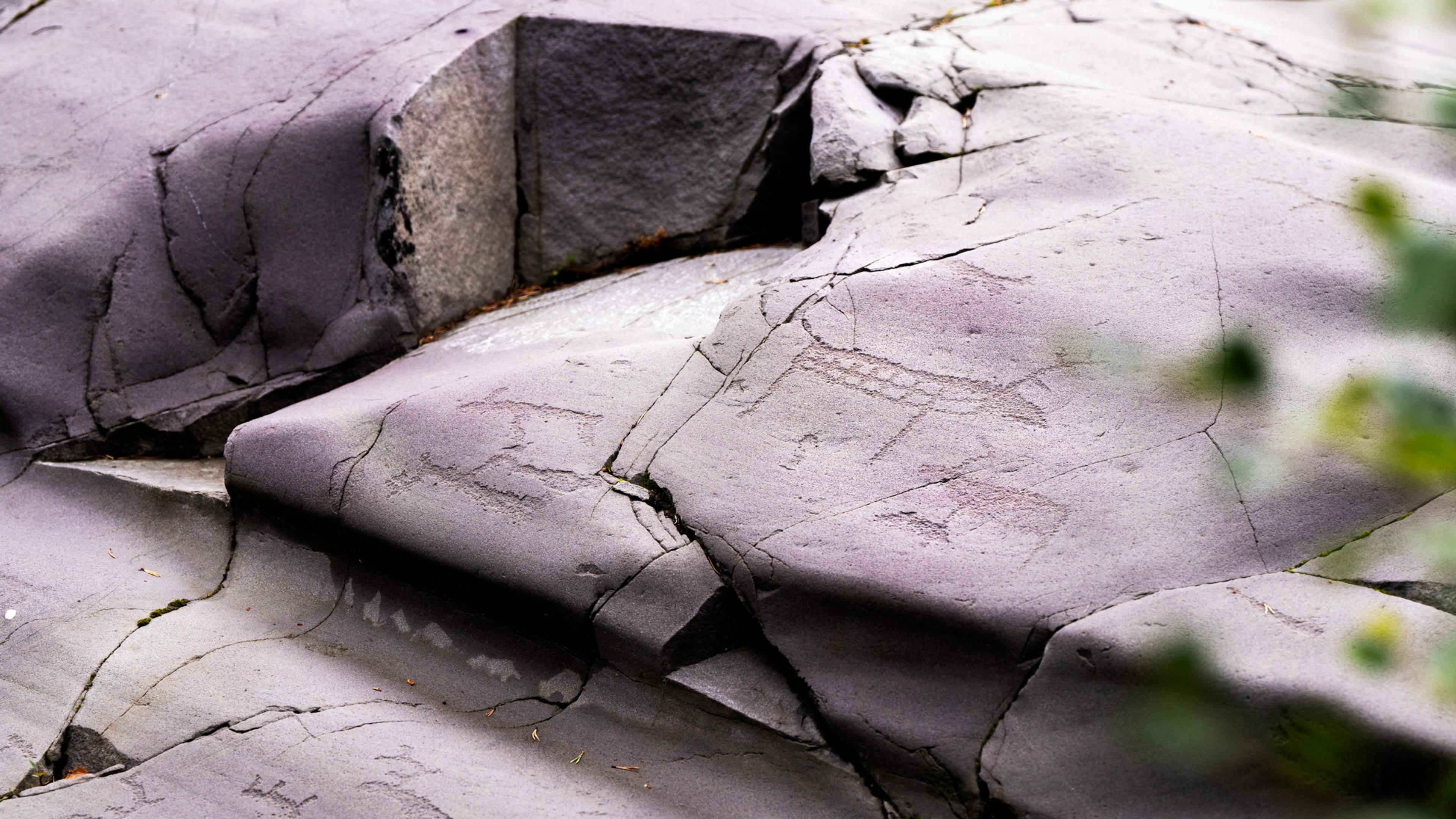 Rock carvings of reindeer at Alta Museum