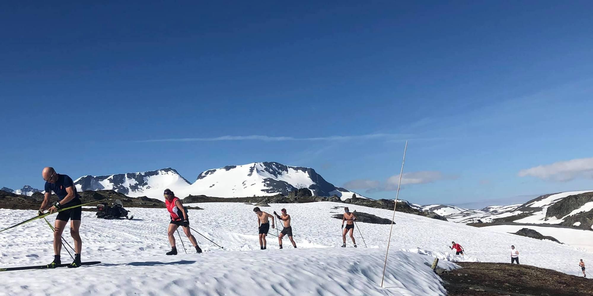 People skiing at Sognefjellet