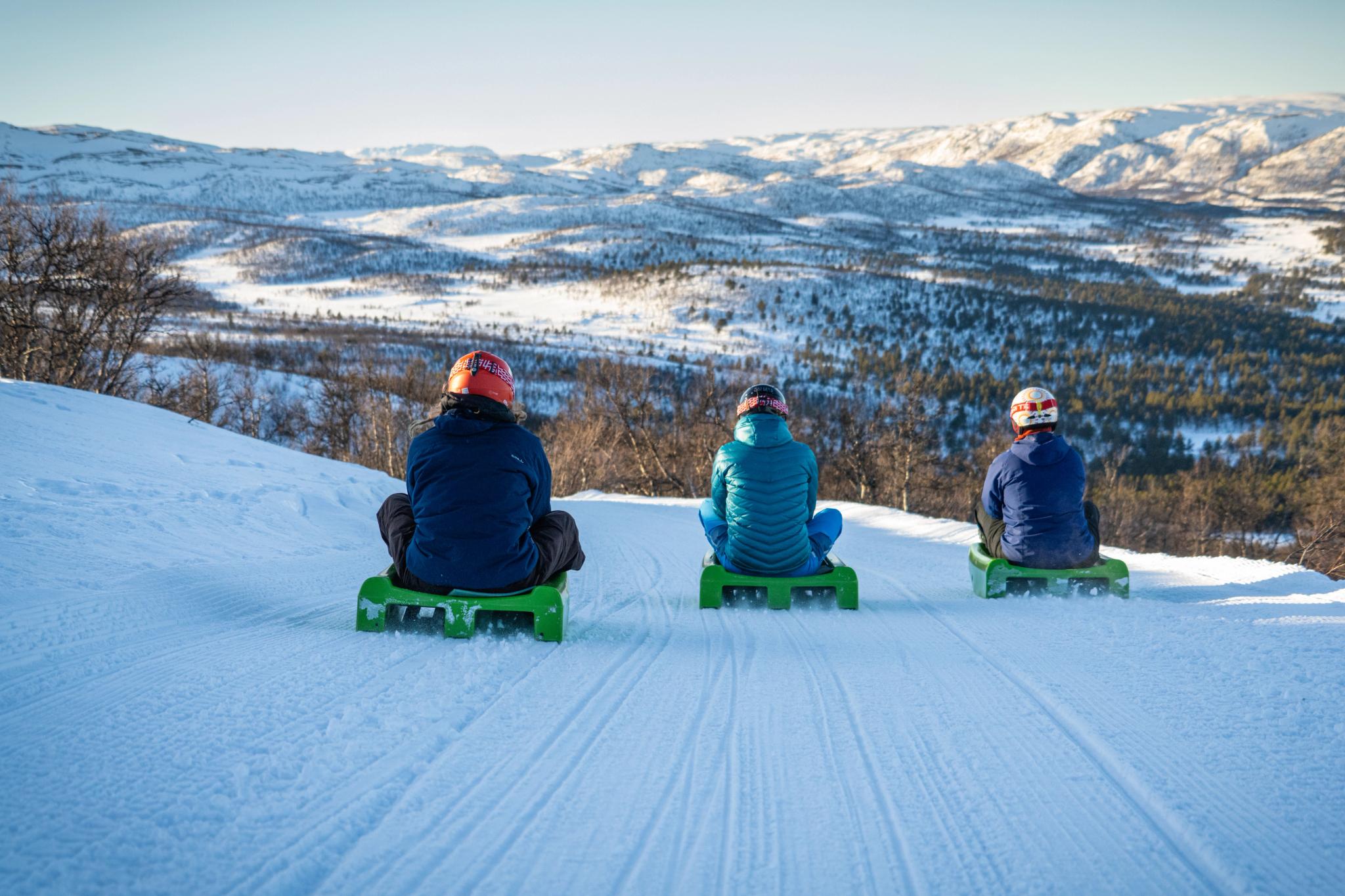 Vanner aker i Dagali Fjellpark, Hol, Norge.