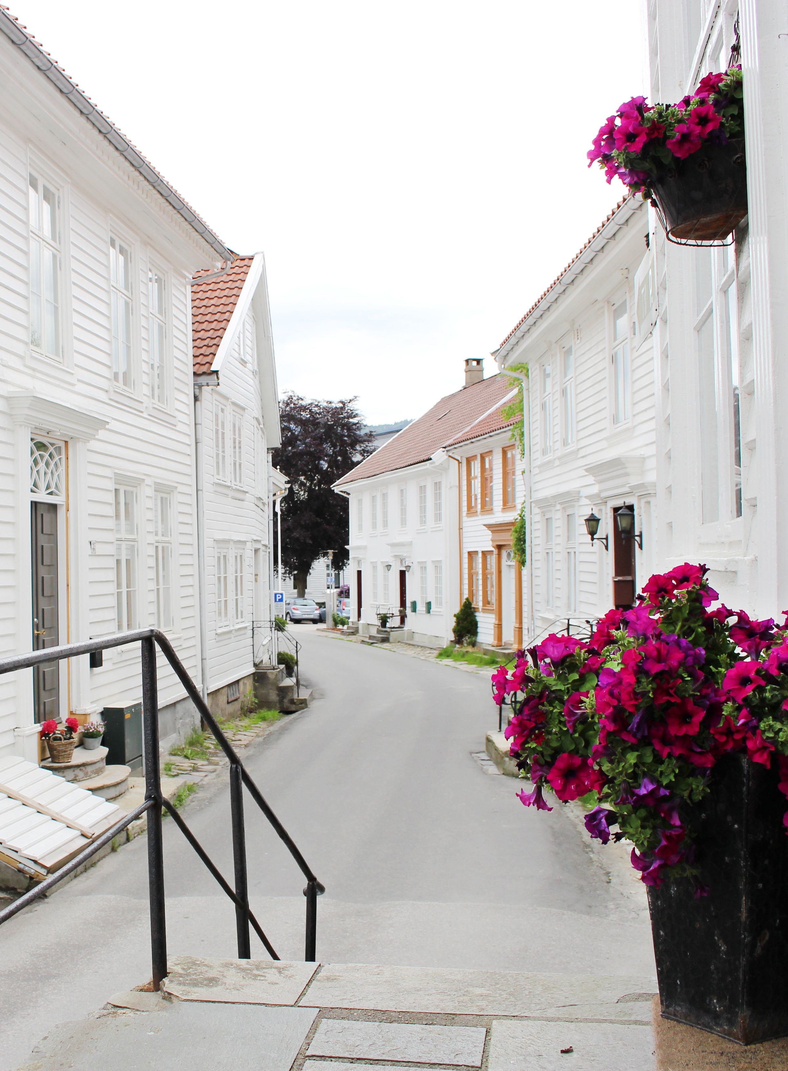 Flowers in Hollenderbyen, Flekkefjord, Norway