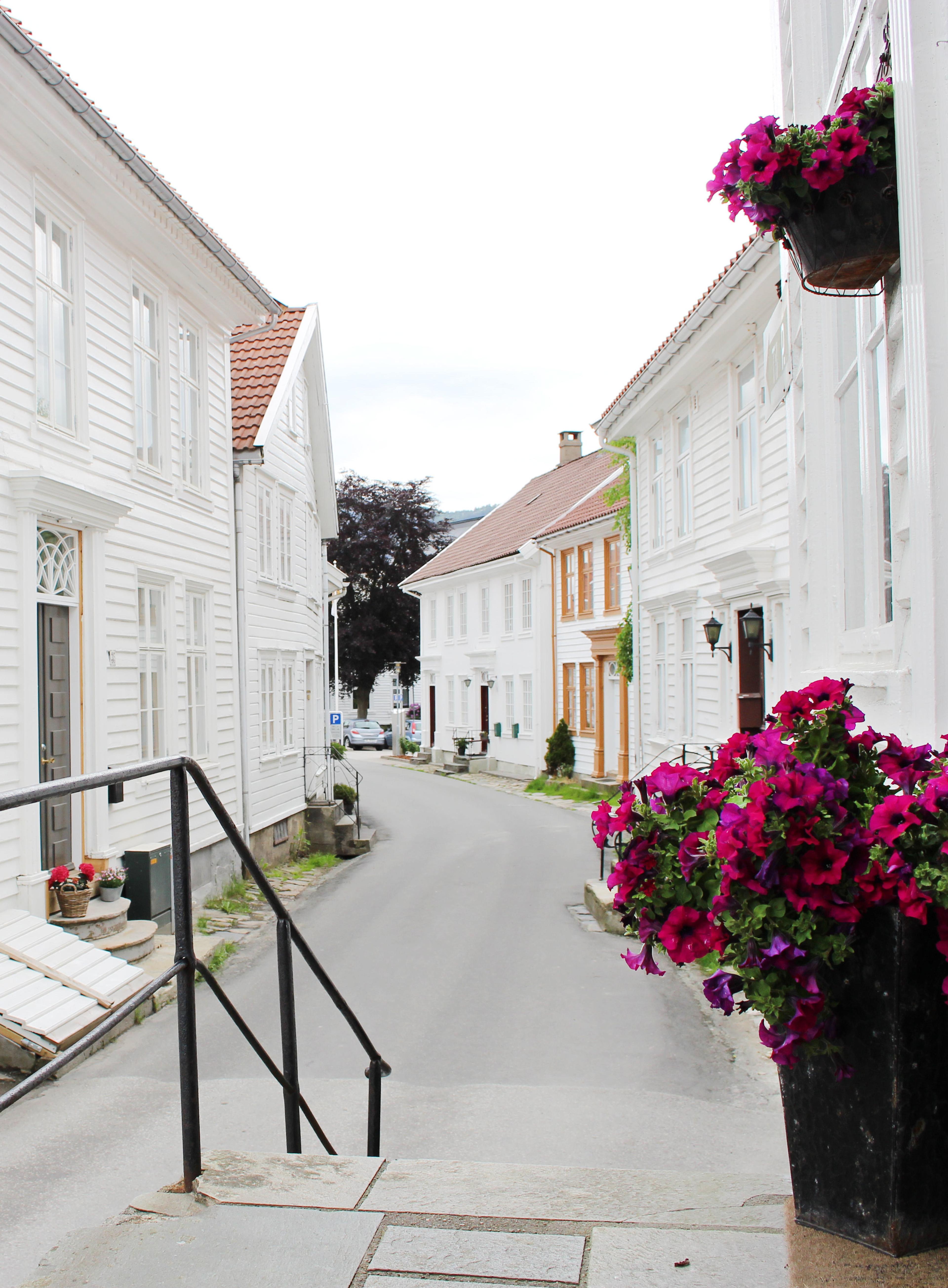 Flowers in Hollenderbyen, Flekkefjord, Norway