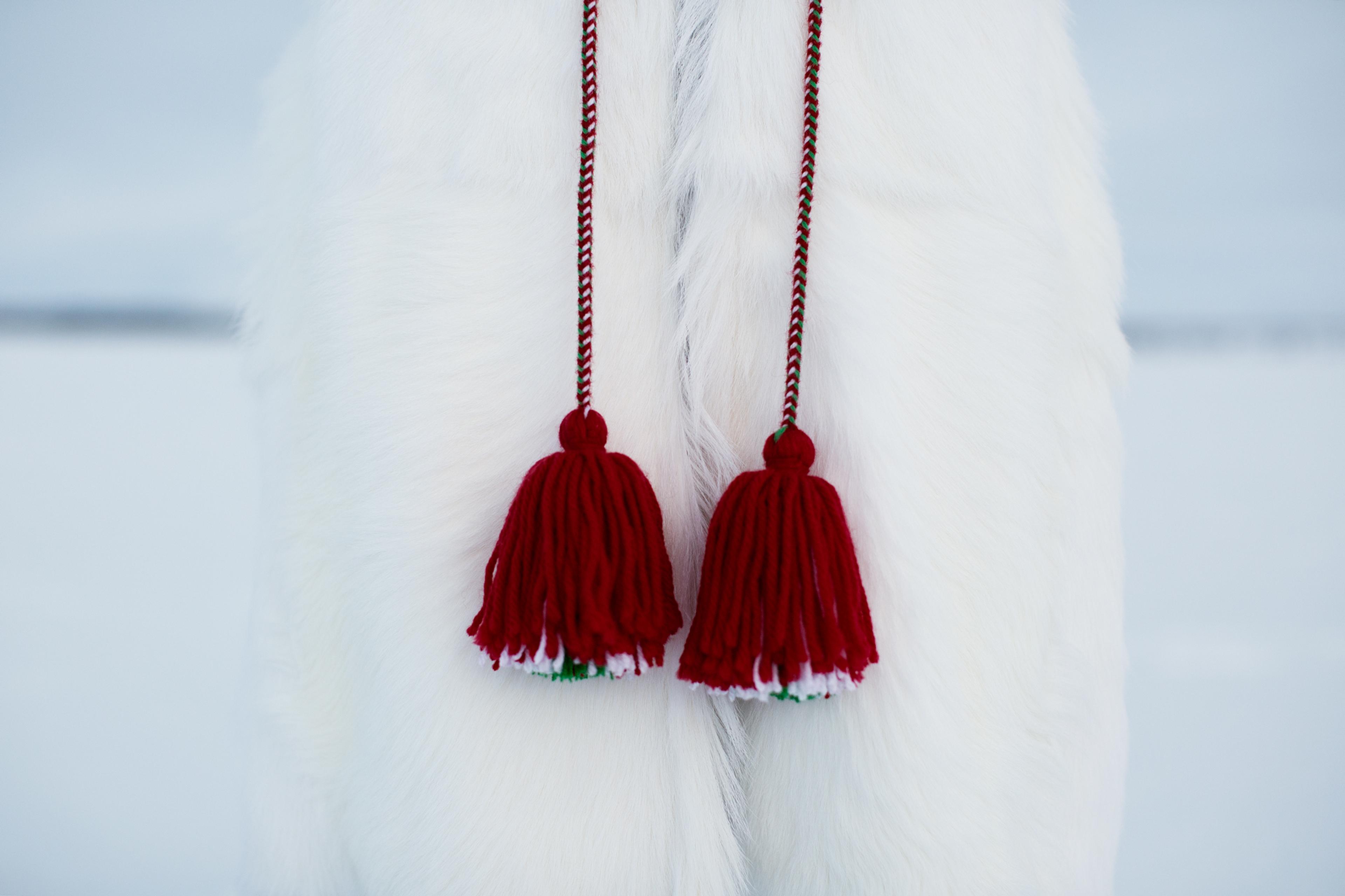 Details of Sámi clothes.