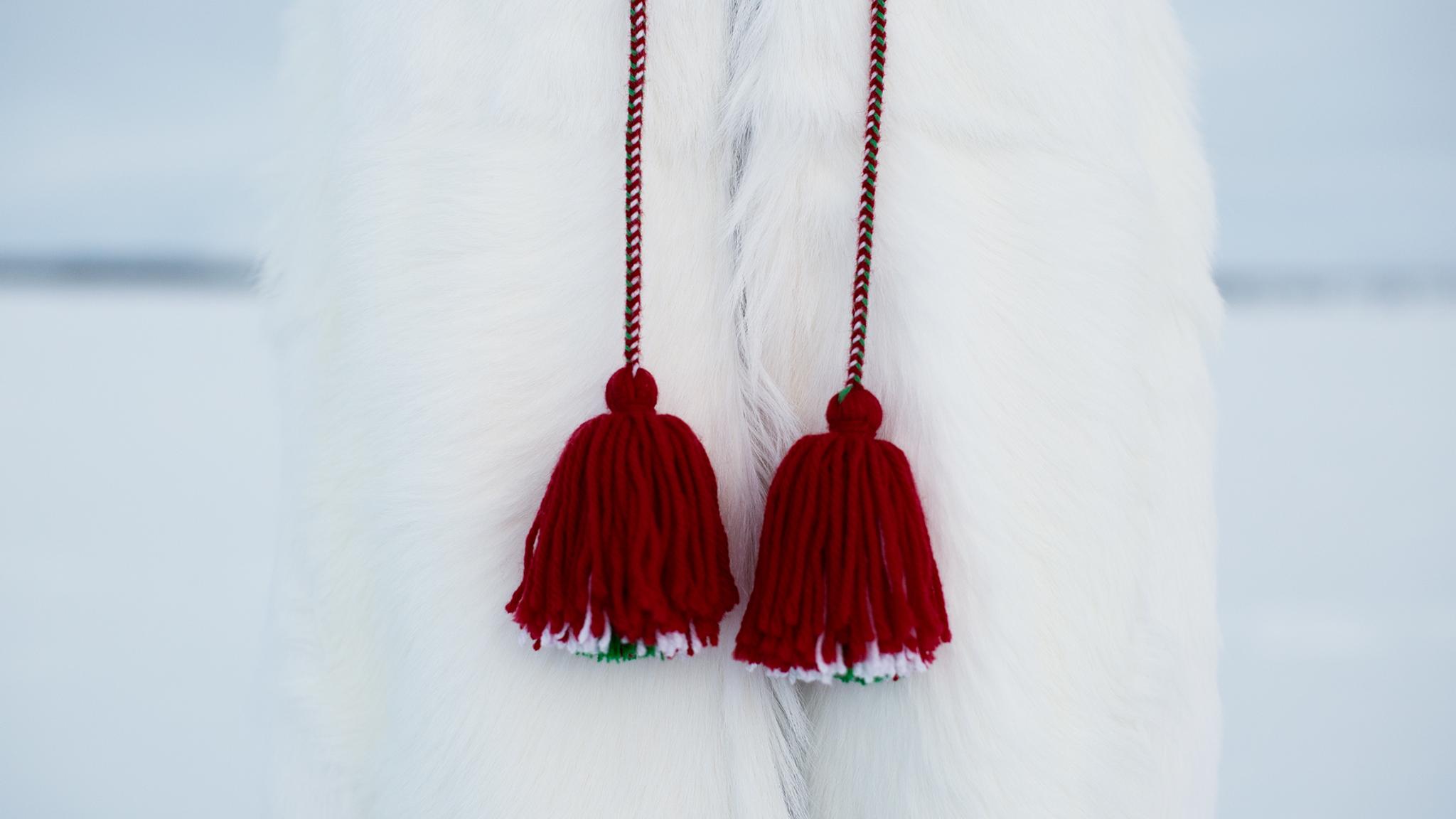 Details of Sámi clothes.