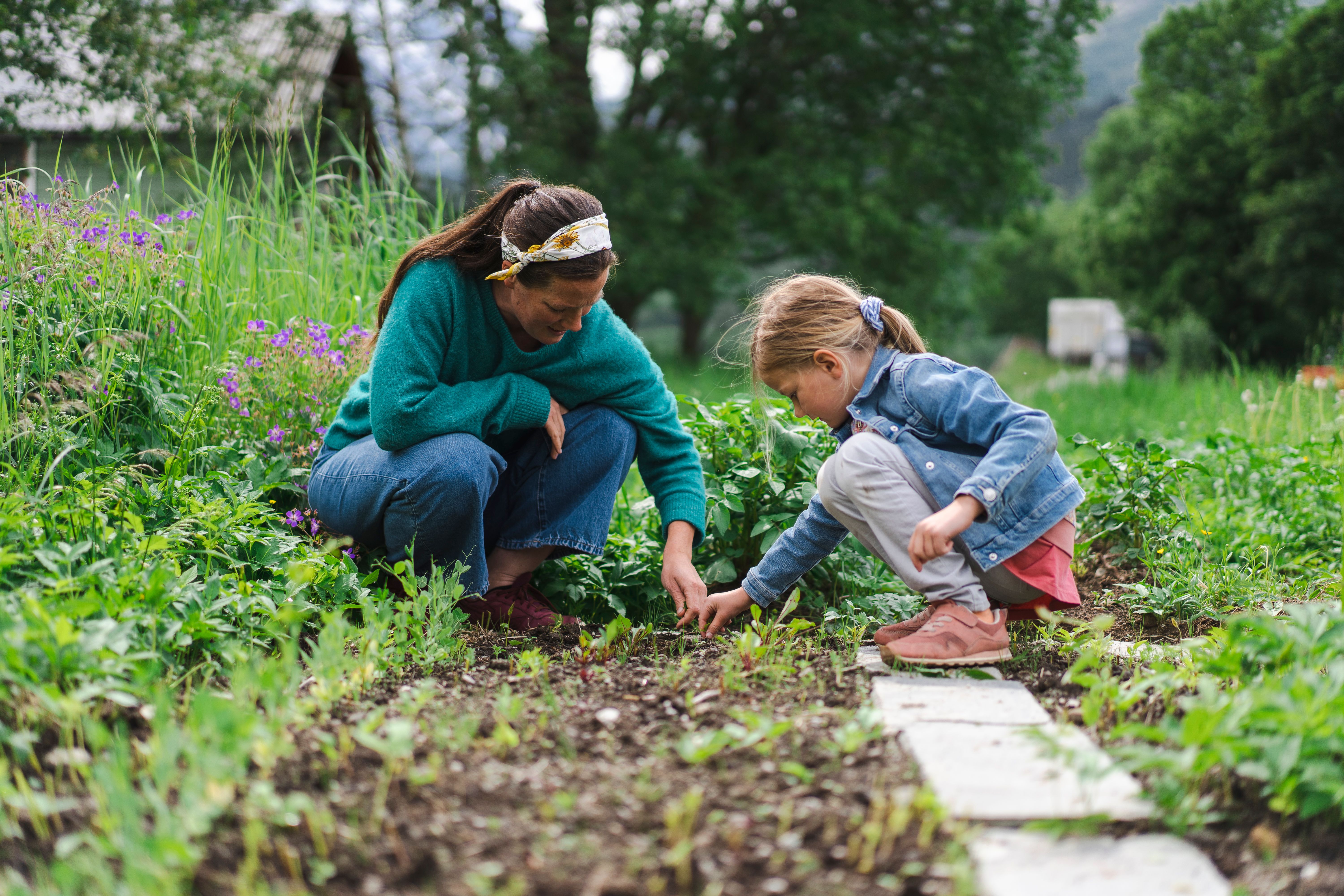 A woman and a girl are gardening at Romsdal Lodge.