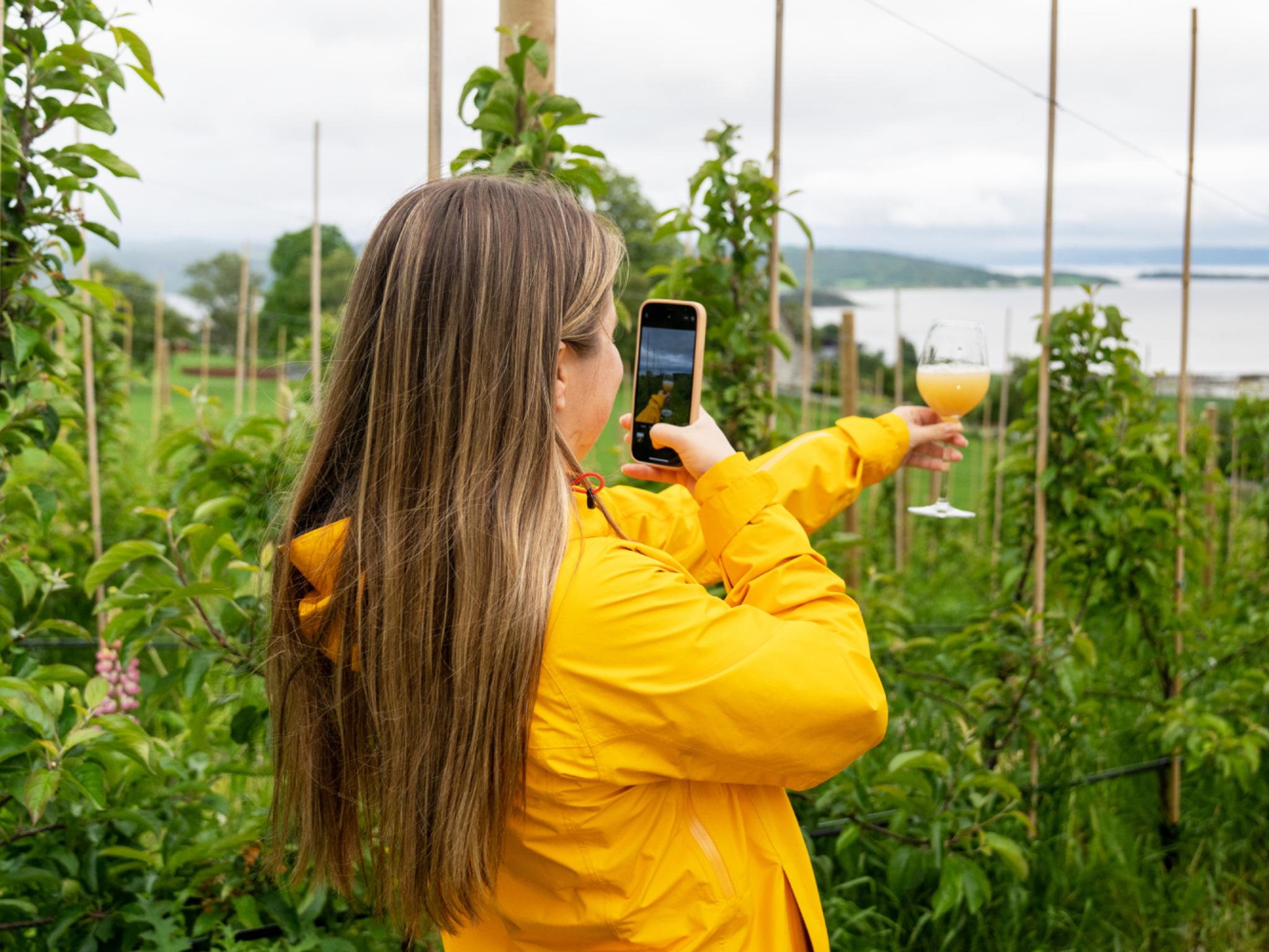 A woman enjoying a glass of apple juice in the world's northernmost commercial apple orchard, Inderøy Mosteri, at Inderøya
