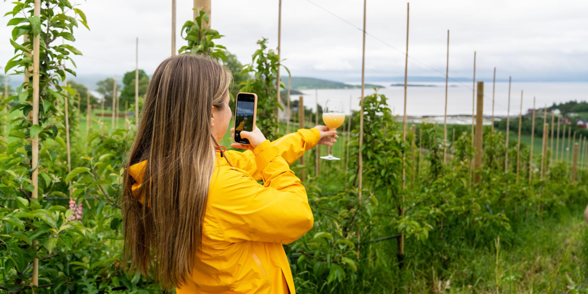 A woman enjoying a glass of apple juice in the world's northernmost commercial apple orchard, Inderøy Mosteri, at Inderøya