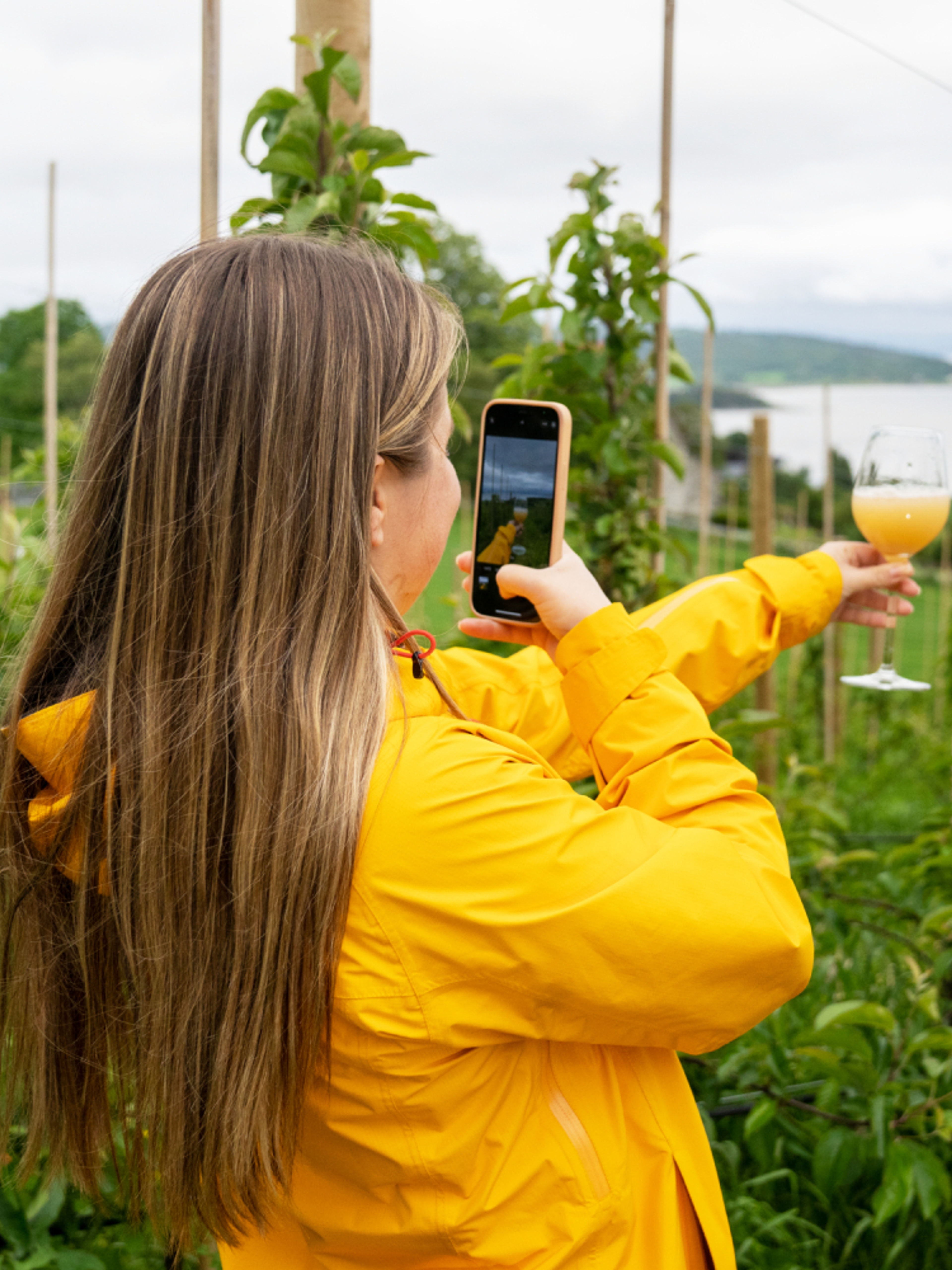 A woman enjoying a glass of apple juice in the world's northernmost commercial apple orchard, Inderøy Mosteri, at Inderøya