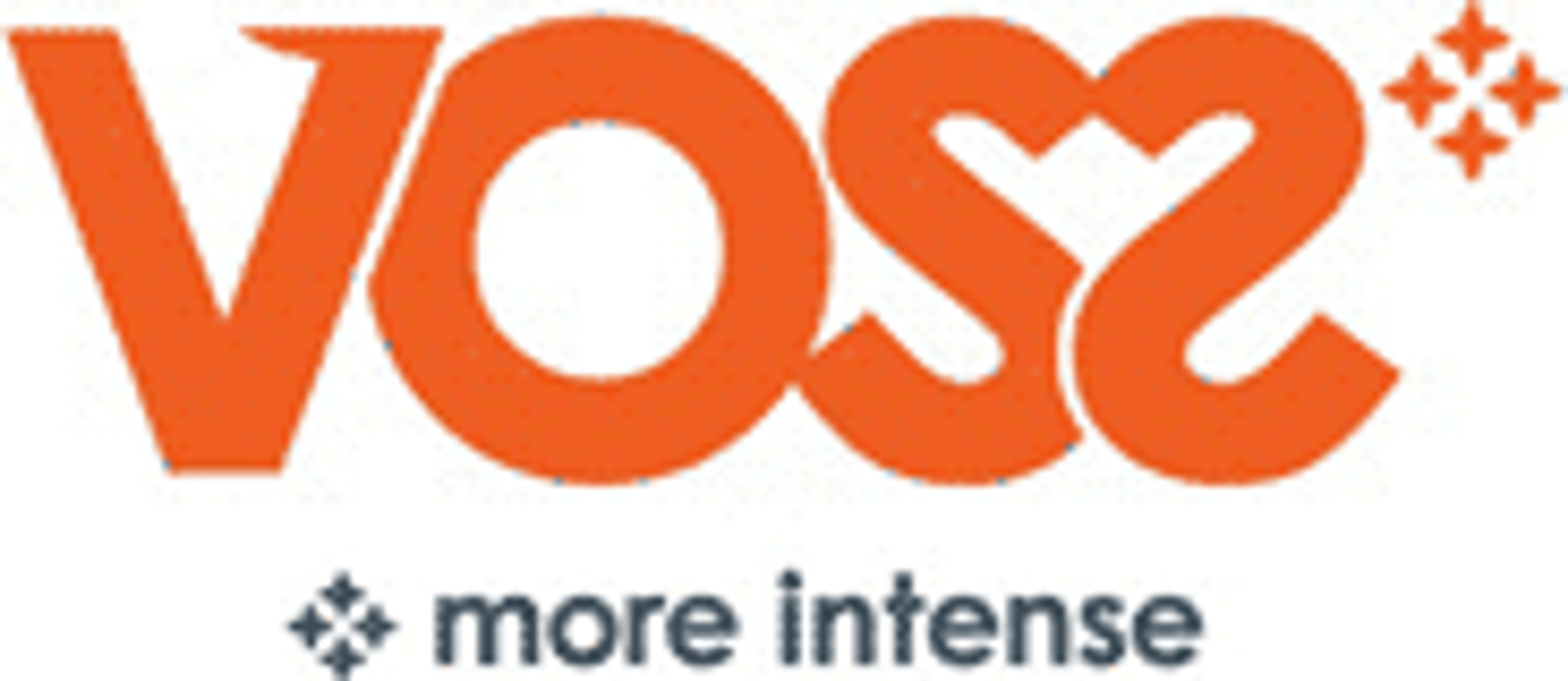 Visit Voss English logo