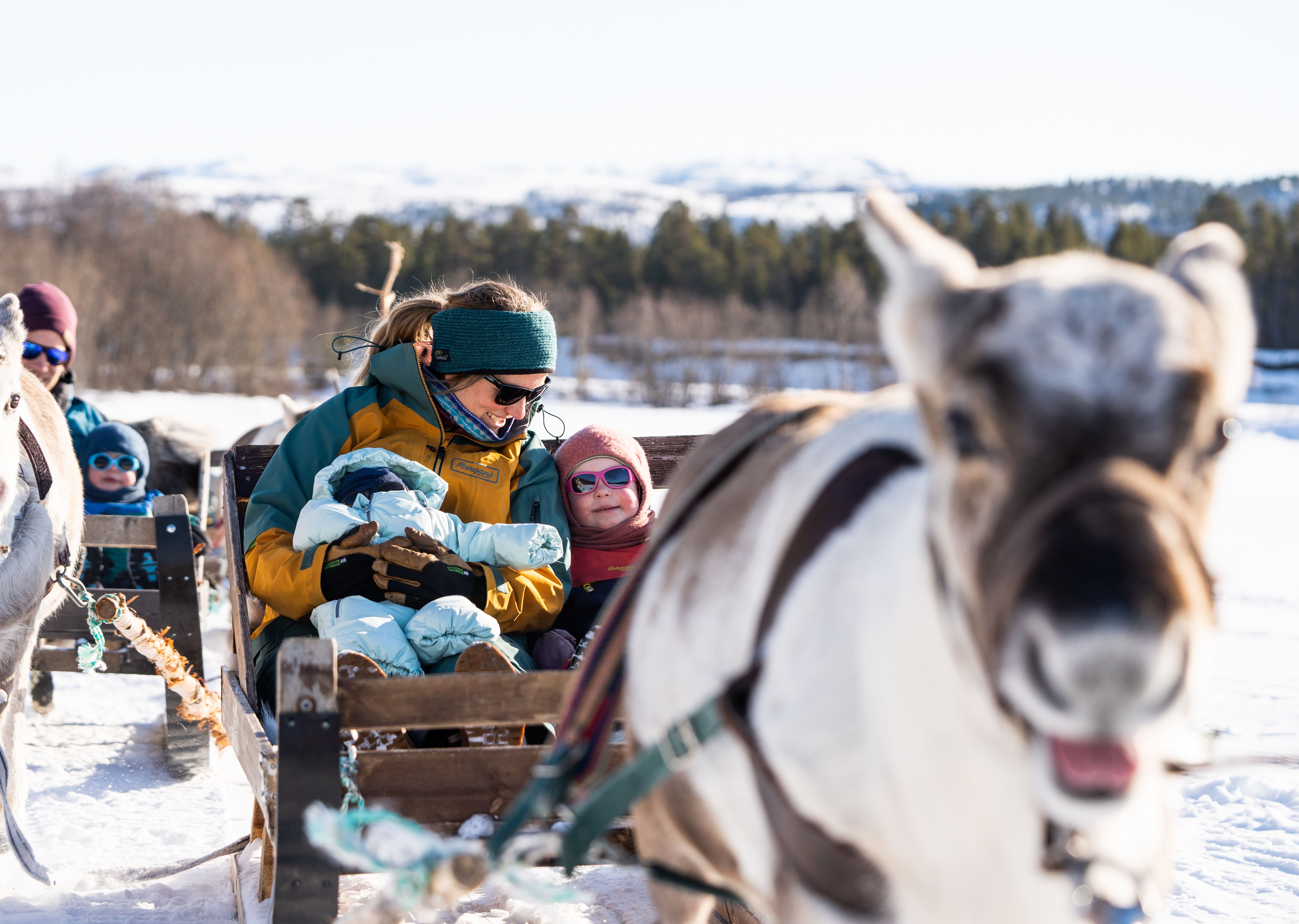 A woman and two small children enjoying reindeer sledding