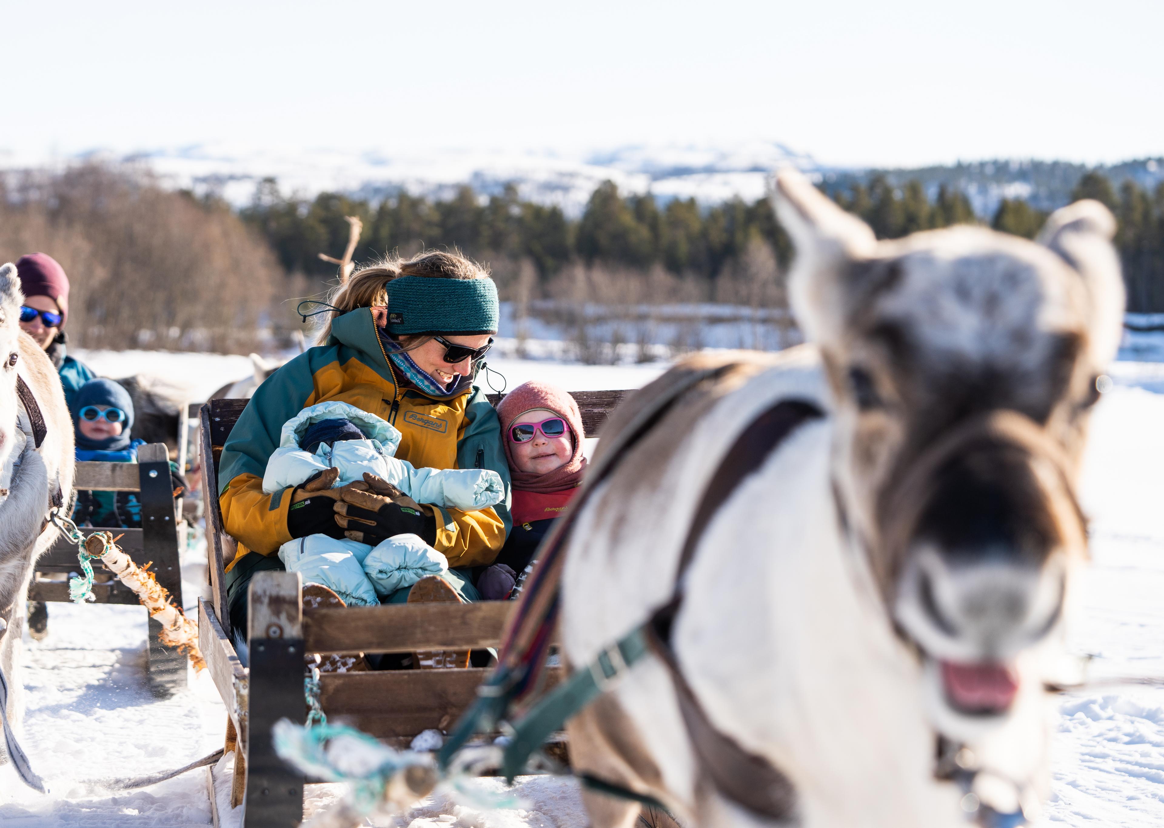 A woman and two small children enjoying reindeer sledding