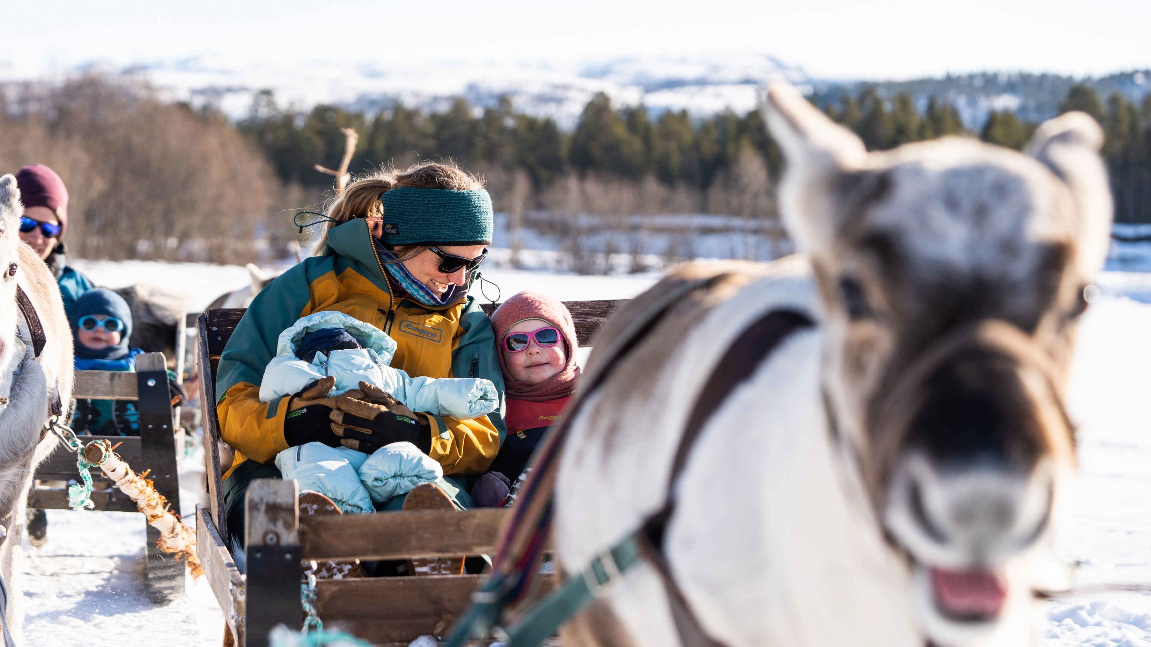 A woman and two small children enjoying reindeer sledding
