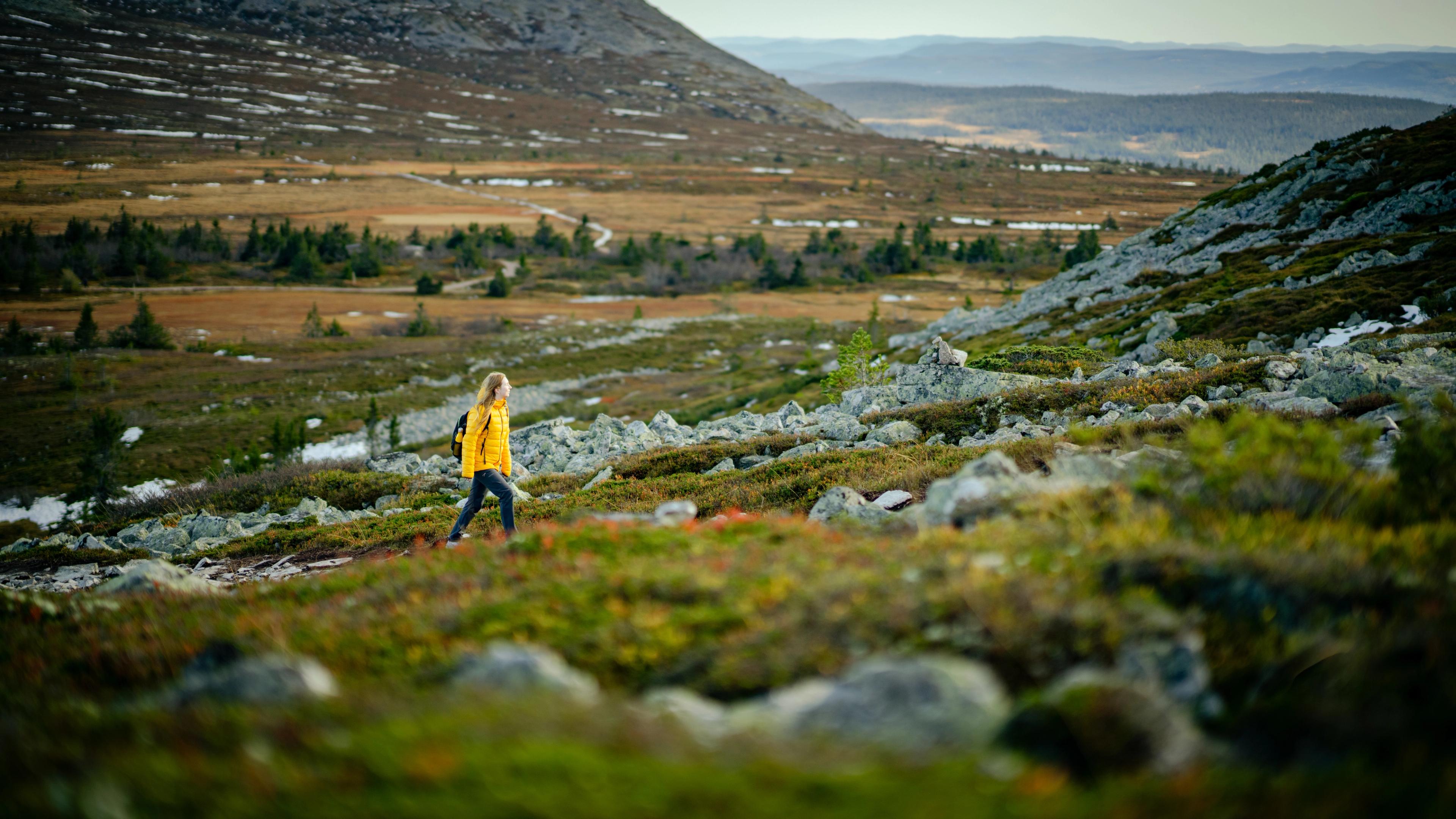 A woman hiking up a mountain,