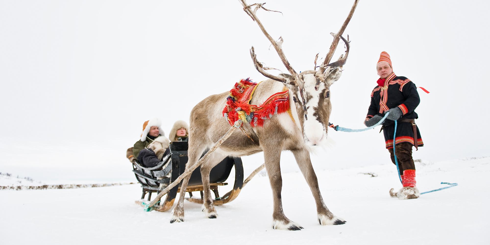 A couple in a sleigh pulled by a reindeer, held by a Sami man