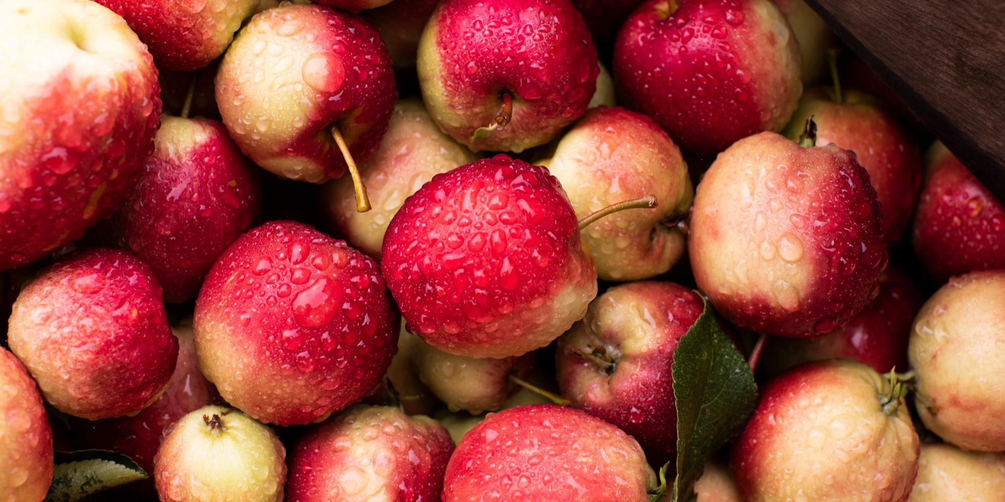 Apples from Syse Gard in Ulvik, the Hardangerfjord region in Fjord Norway