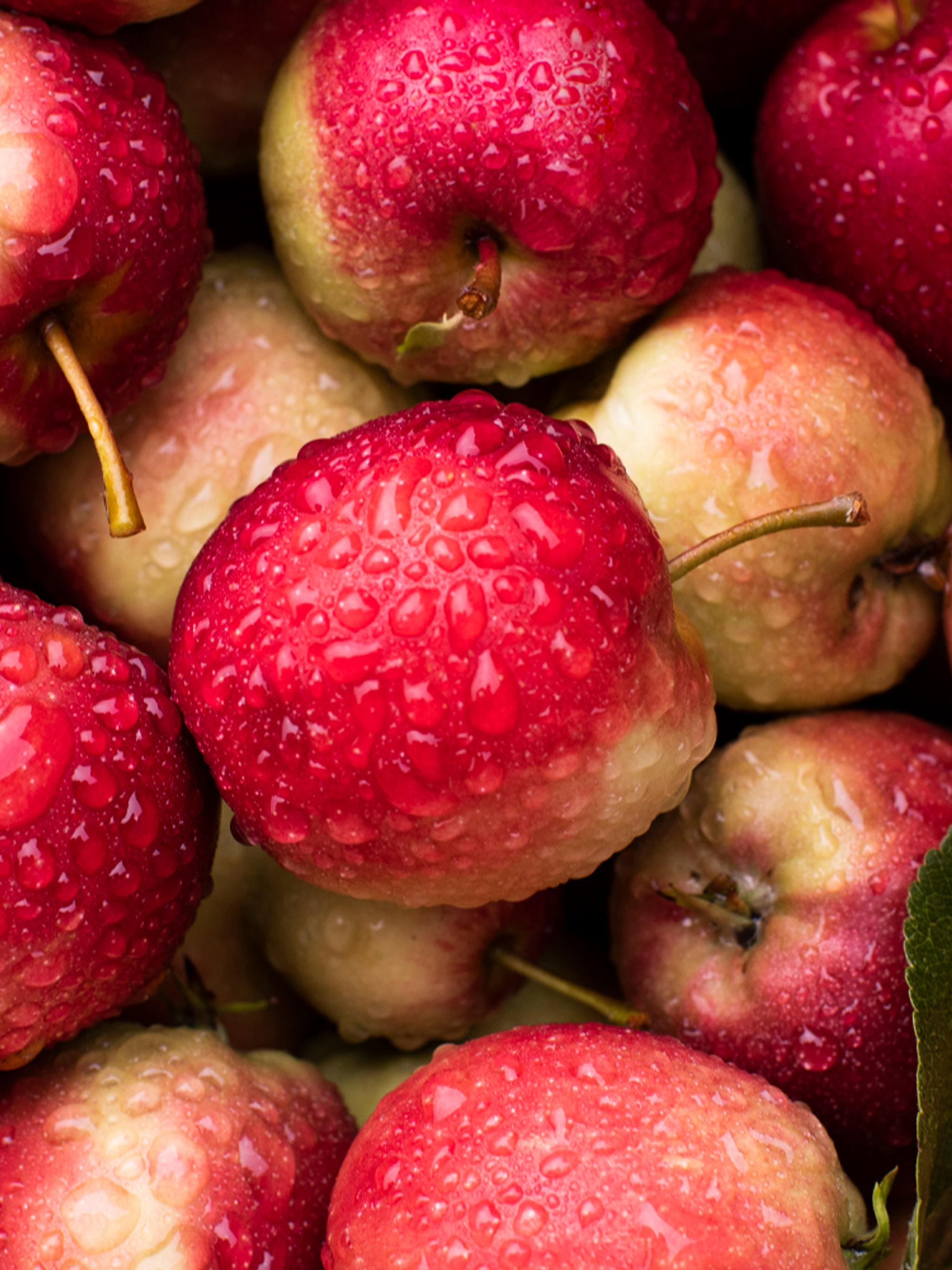 Apples from Syse Gard in Ulvik, the Hardangerfjord region in Fjord Norway