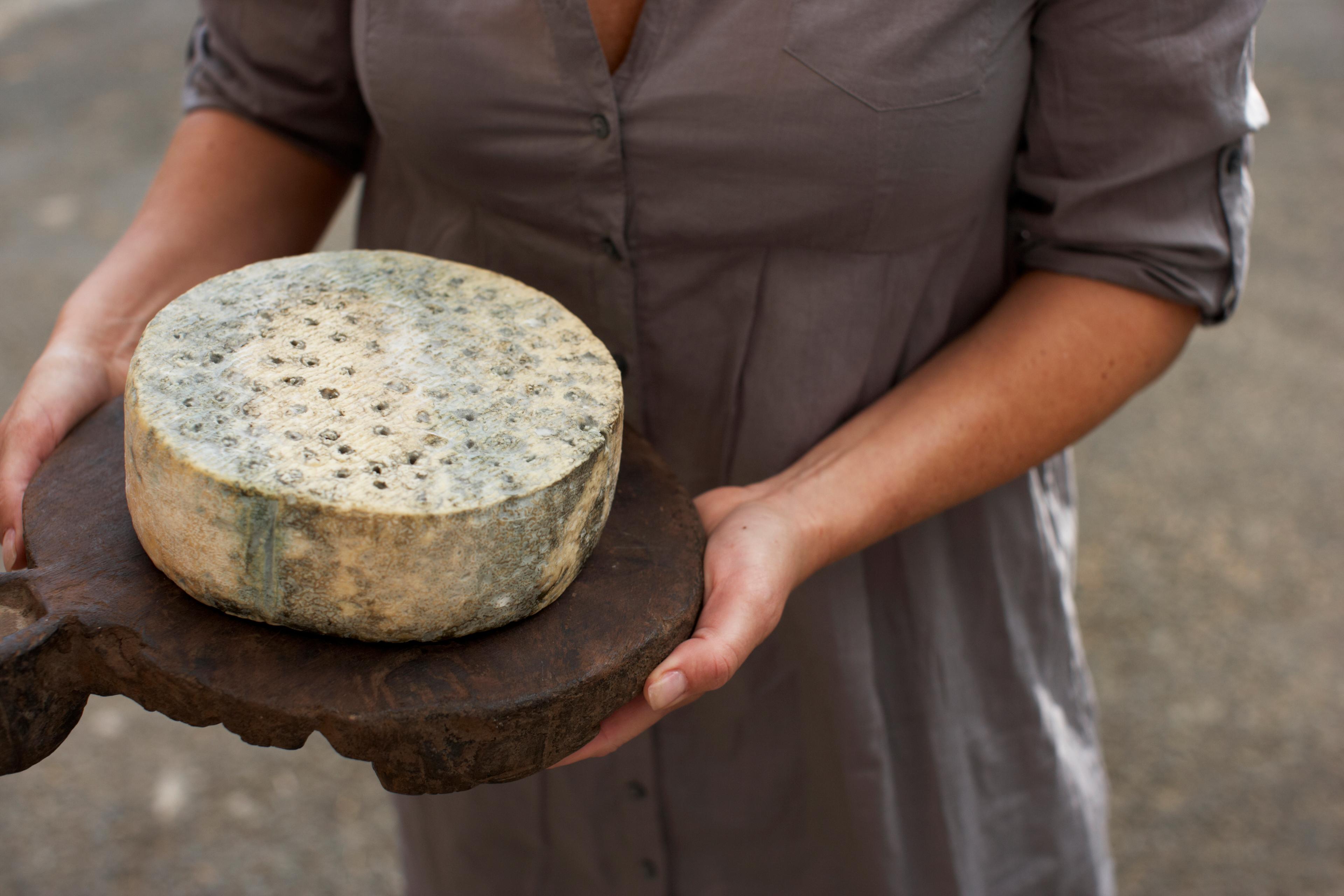 A woman holding a wooden cutting board with a block of cheese from Tingvollost. Near Kristiansand in Fjord Norway.