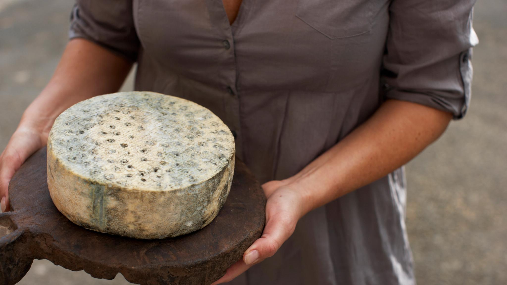 A woman holding a wooden cutting board with a block of cheese from Tingvollost. Near Kristiansand in Fjord Norway.