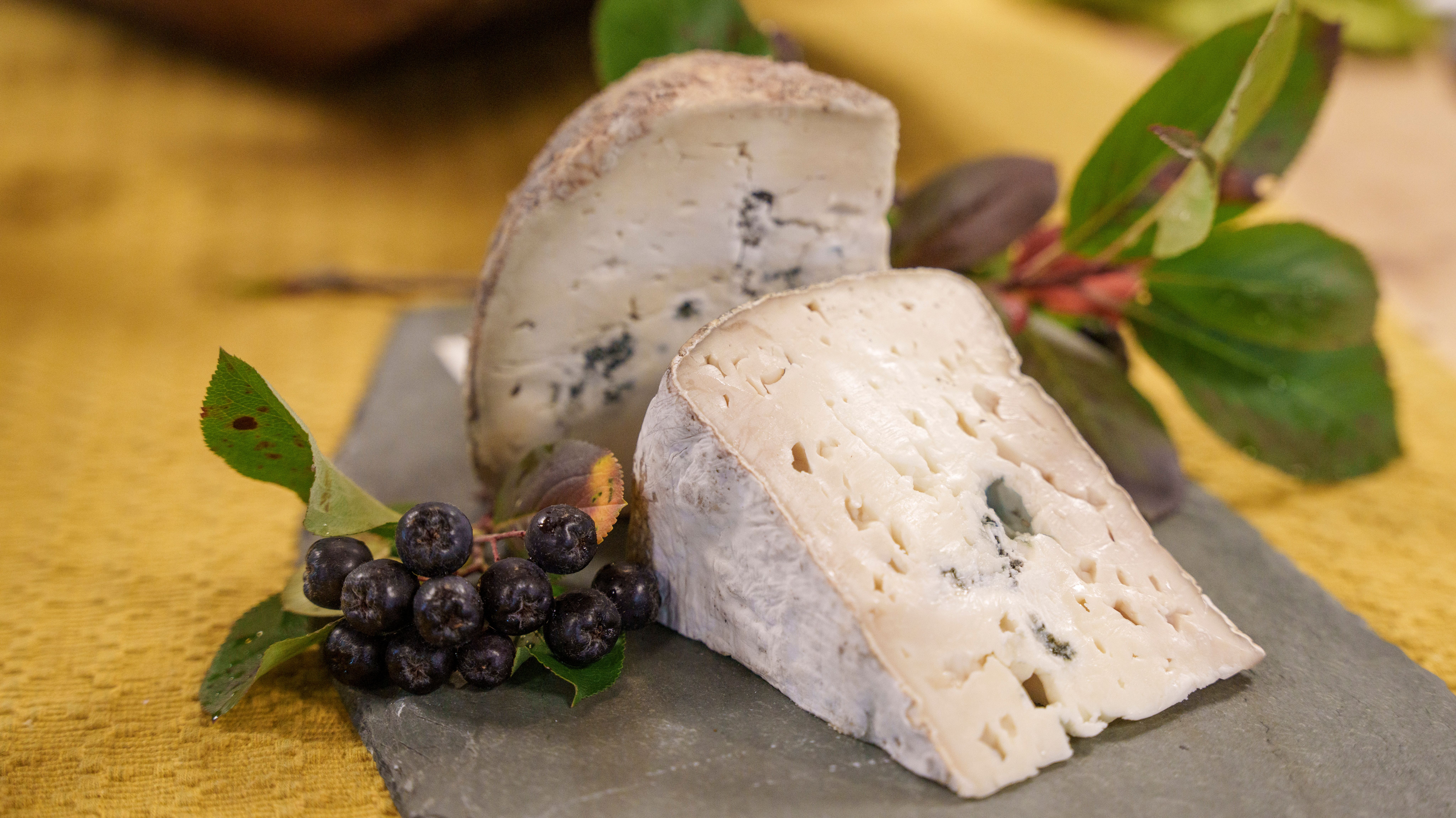 Blue cheese from Nørrestogo farm in Valdres