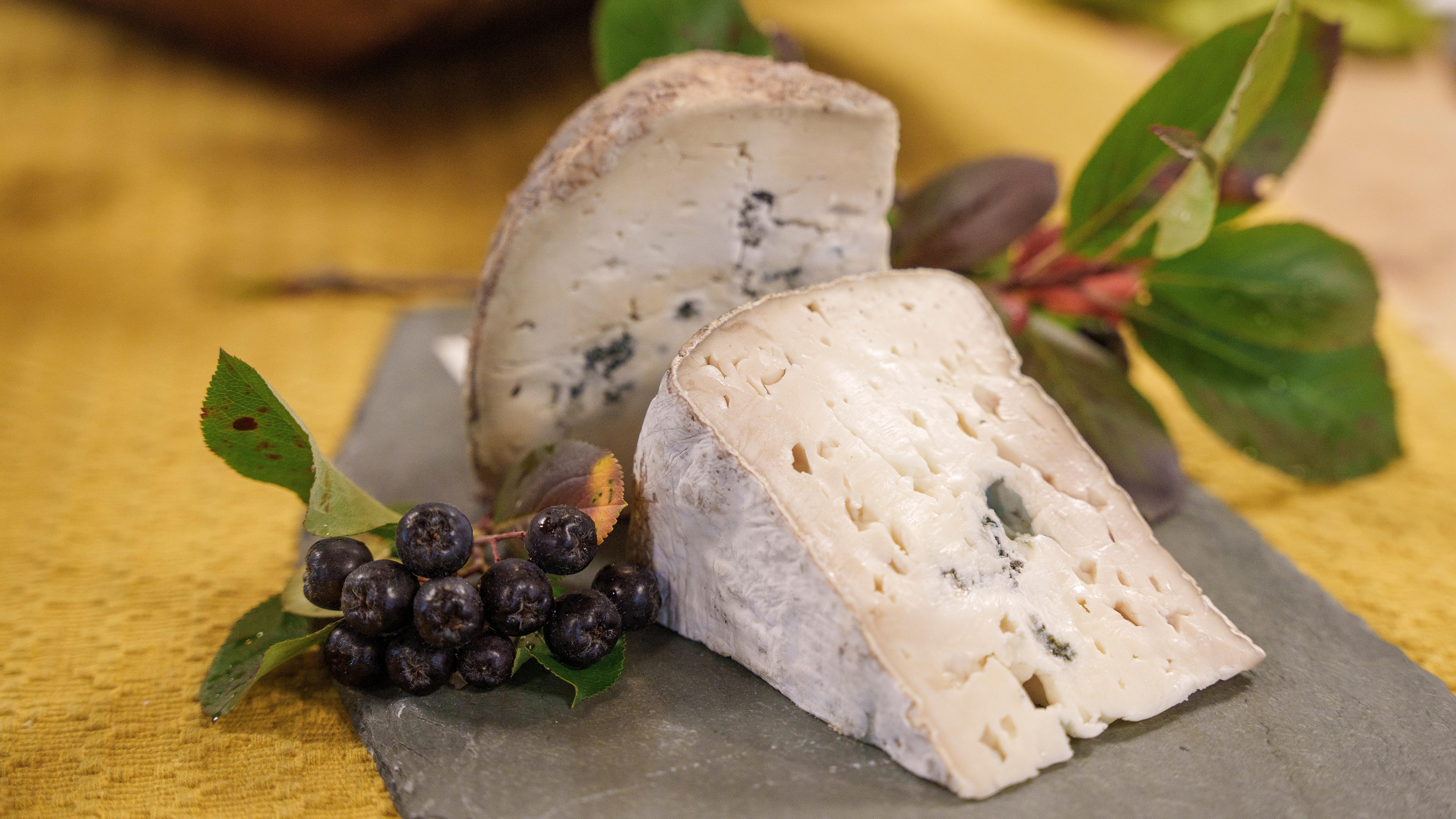 Blue cheese from Nørrestogo farm in Valdres