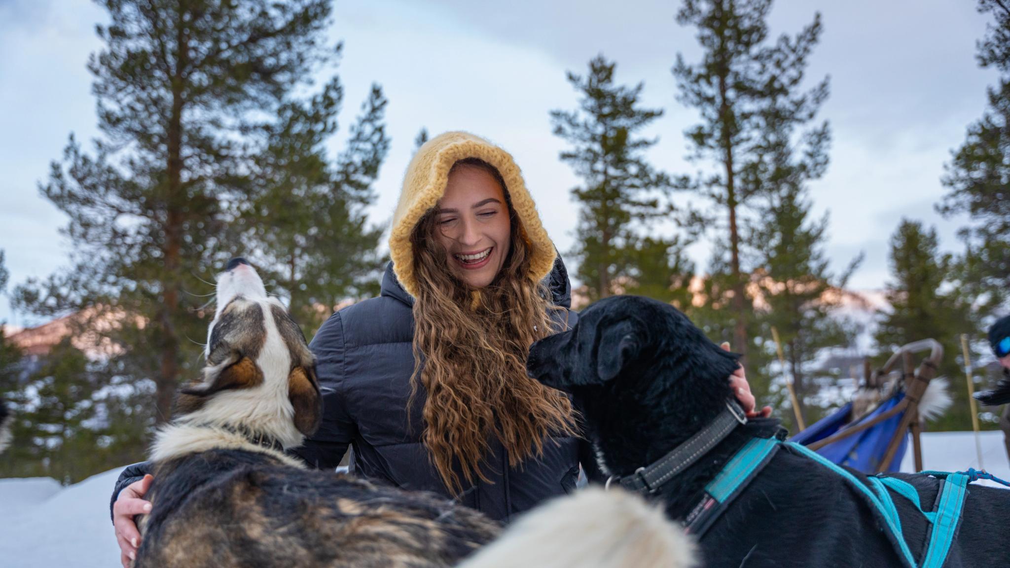 A woman cuddling with sled dogs at Geilo in the winter.