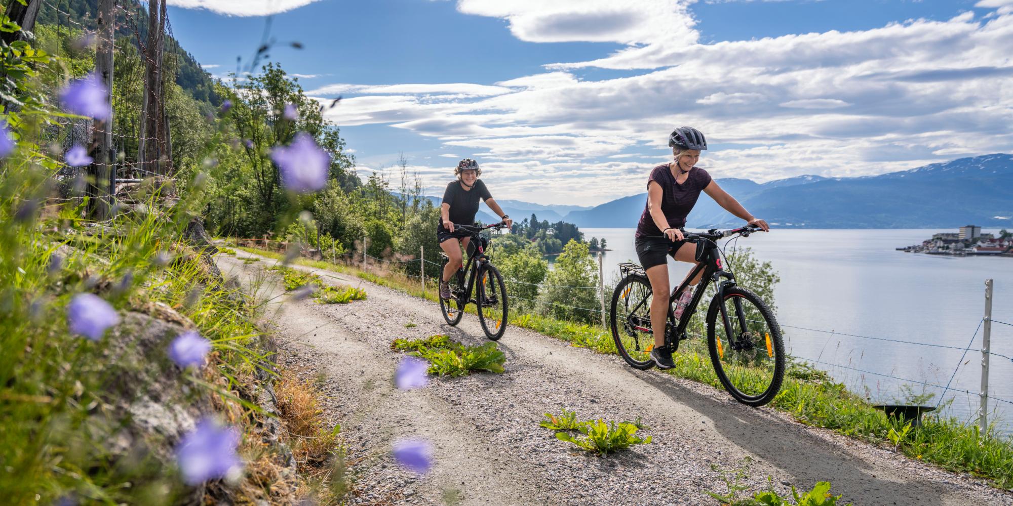 Two persons cycling by the fjord in summer, Norway.
