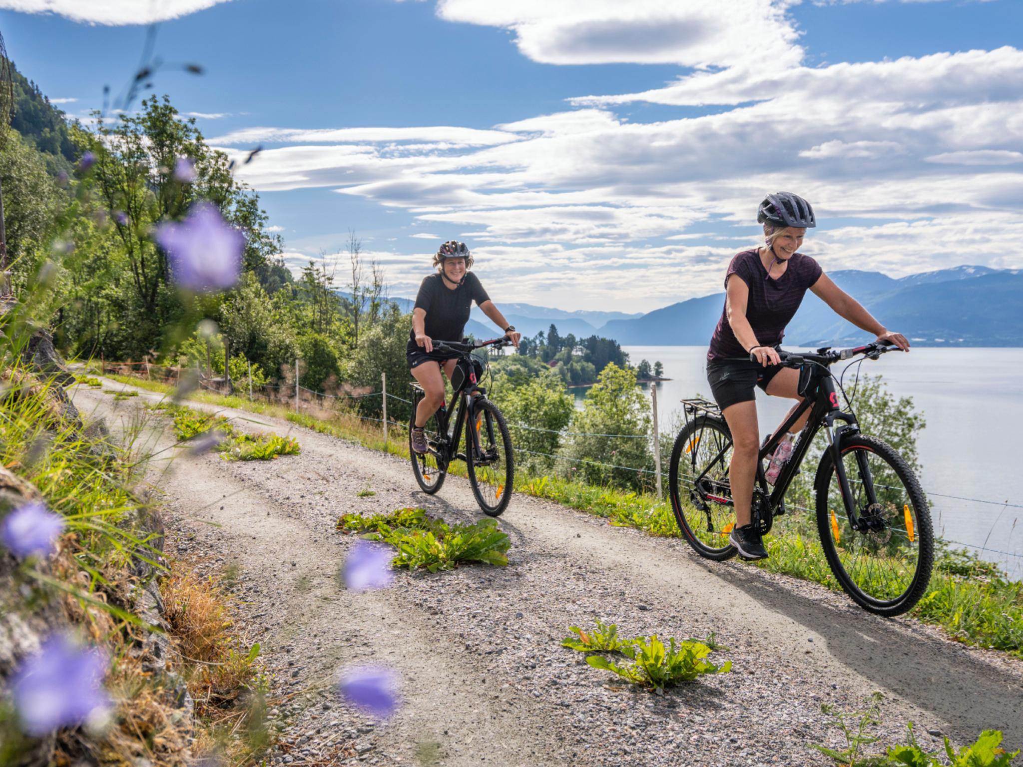 Two persons cycling by the fjord in summer, Norway.