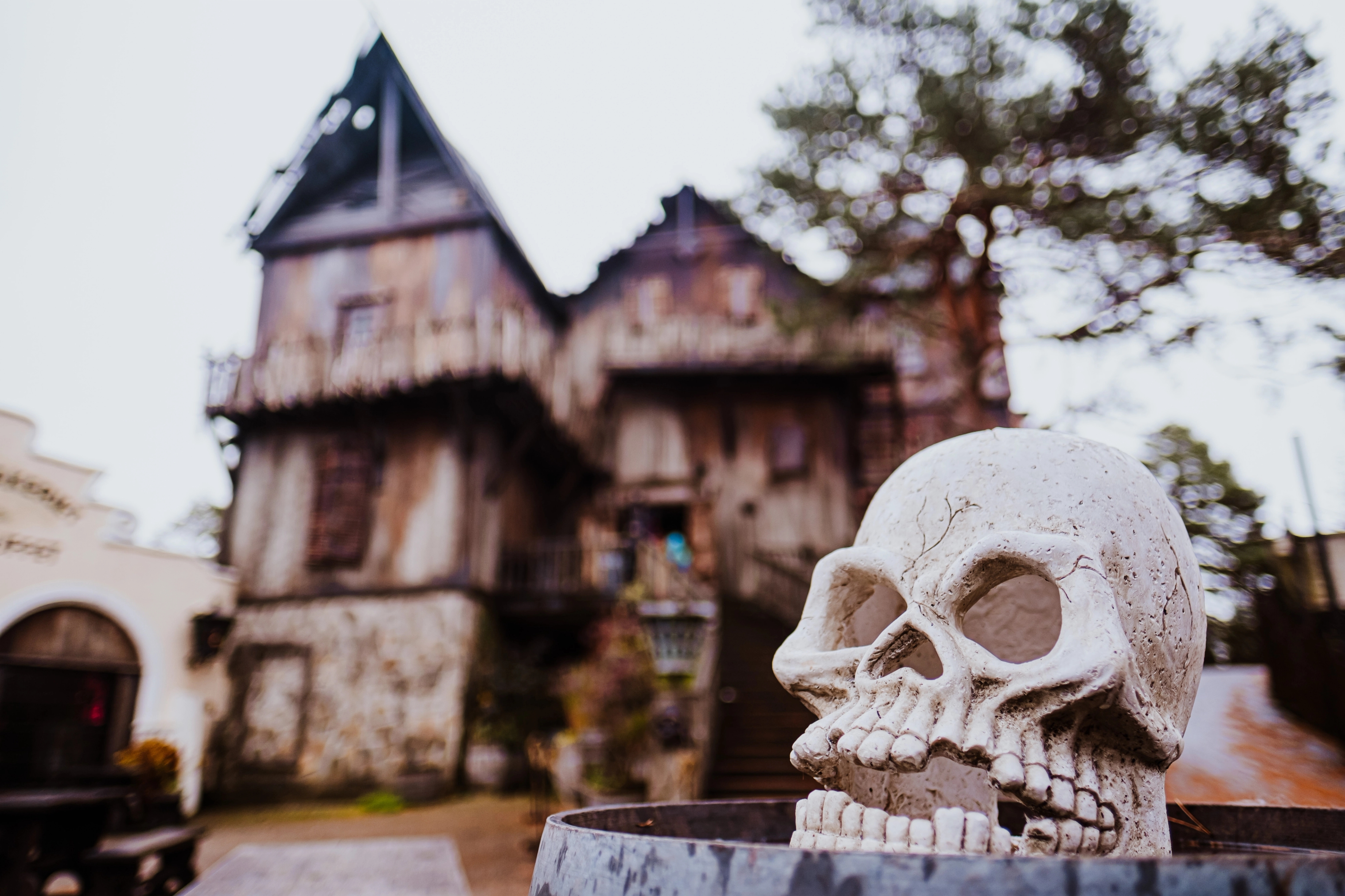 A glimpse of the new Halloween attraction at the theme park Kristiansand Dyrepark outside Kristiansand in Southern Norway