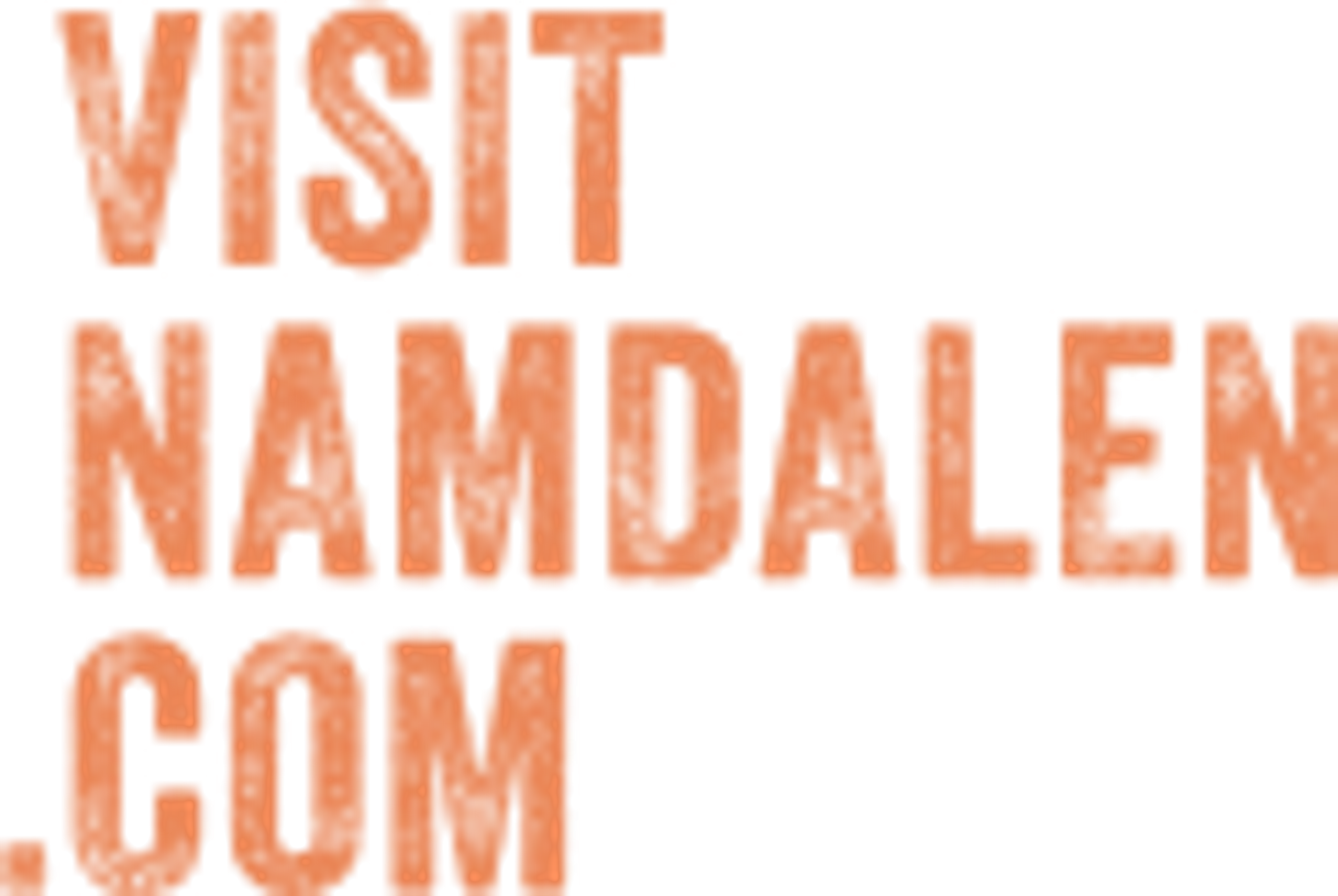 Visit Namdalen logo