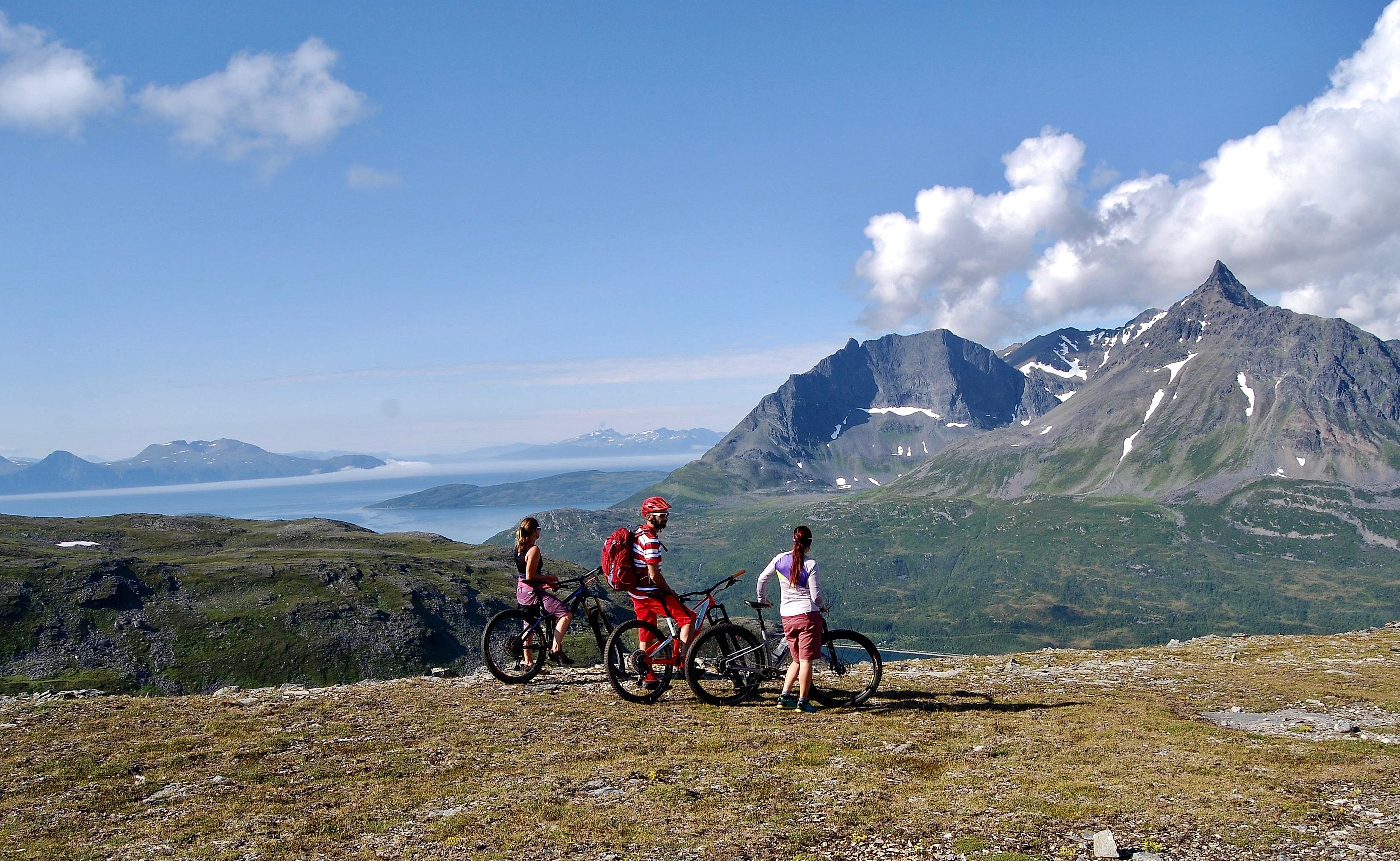 Three people mountain biking in the Lyngenfjord region, Northern Norway