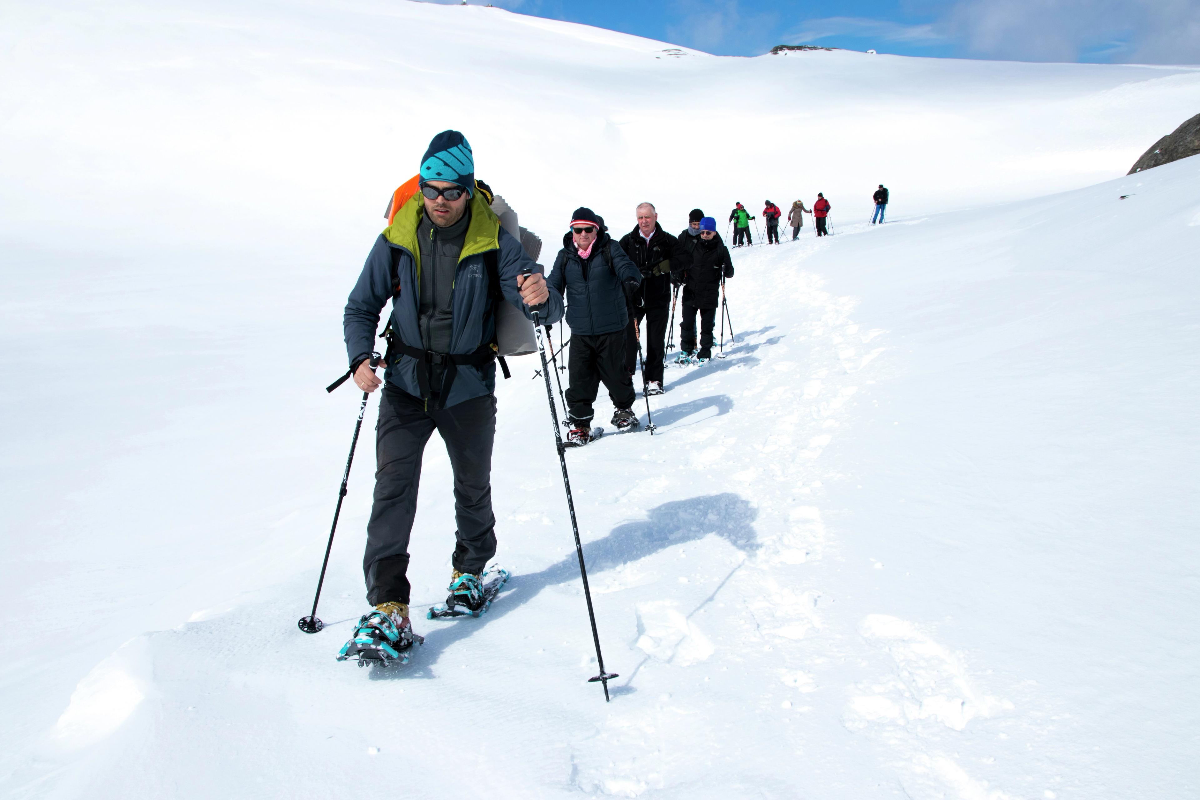 People walking on Folgefonna glacier, Hardanger, Norway